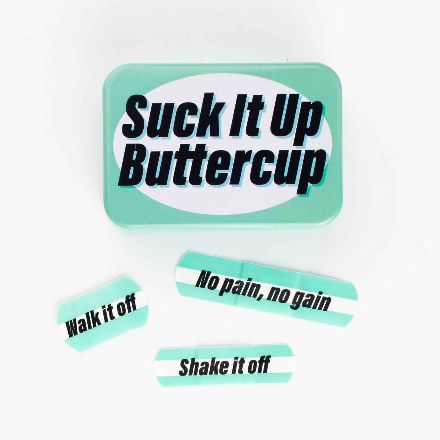 Novelty Plaster Tins (assorted designs)