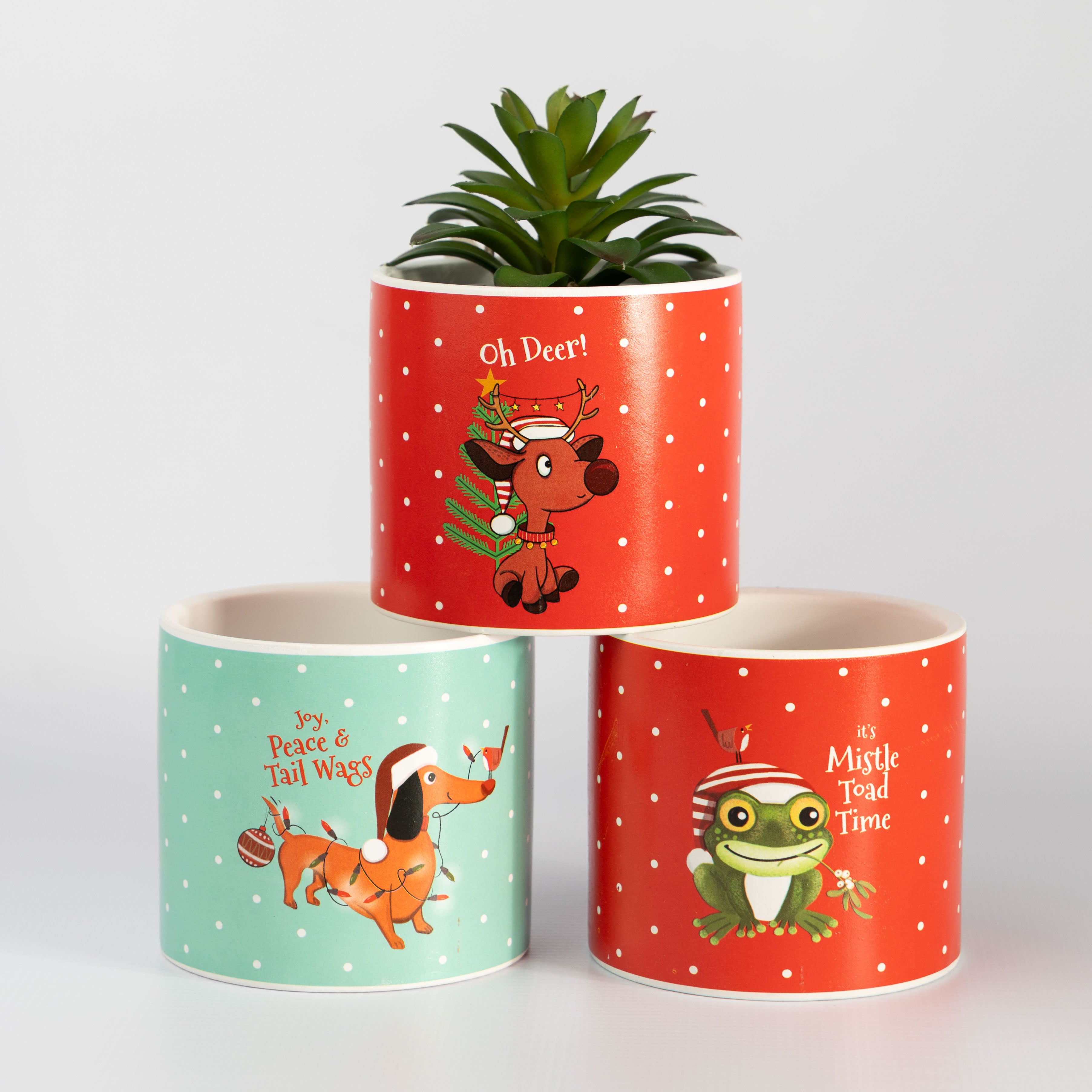 Christmas Planter Pots