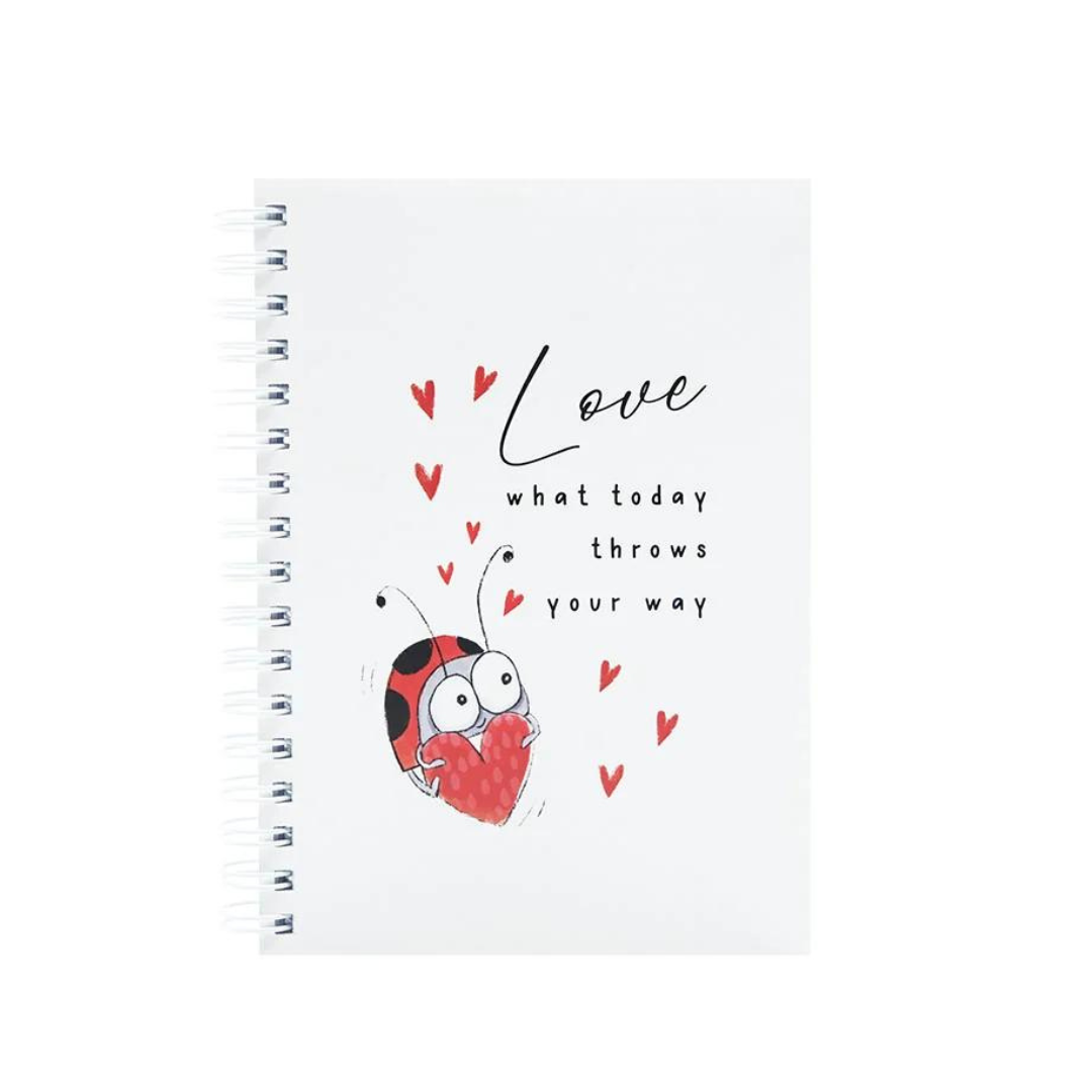 Love Bug Stationery Collection (assorted)