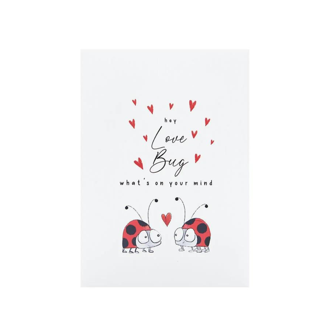 Love Bug Stationery Collection (assorted)