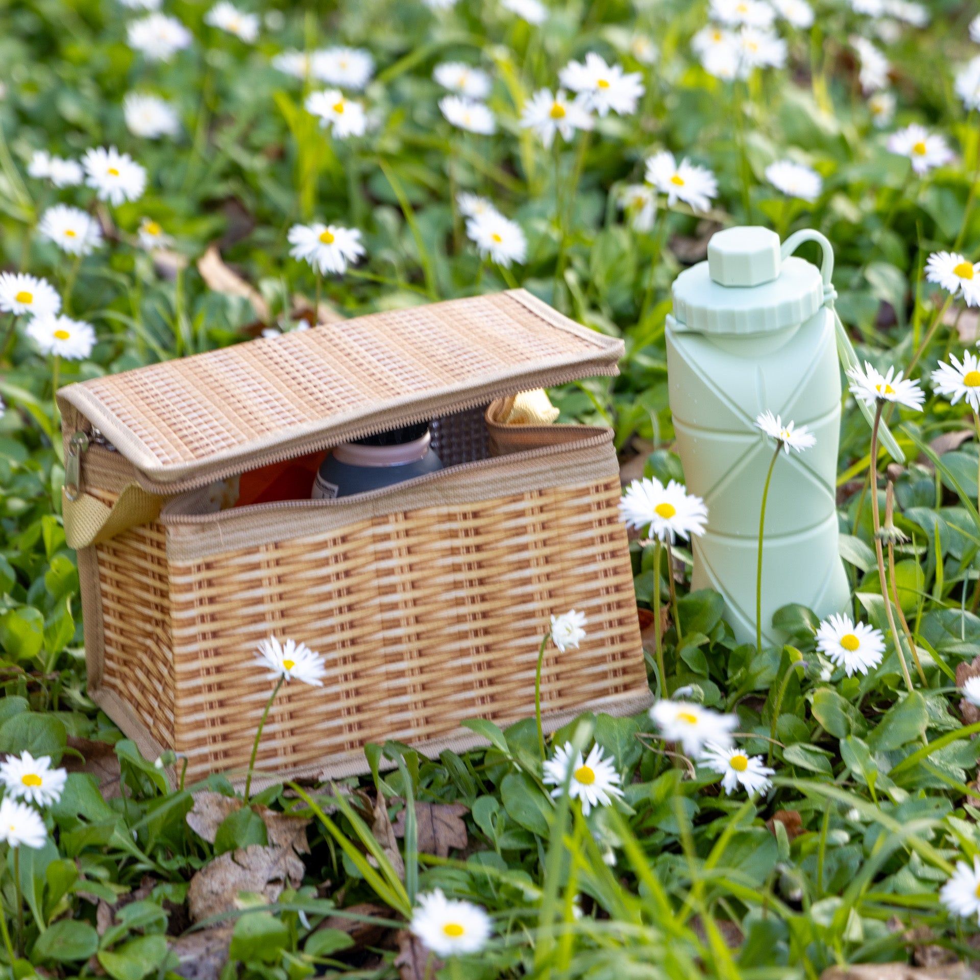 Collapsible Drinking Bottle (assorted colours)