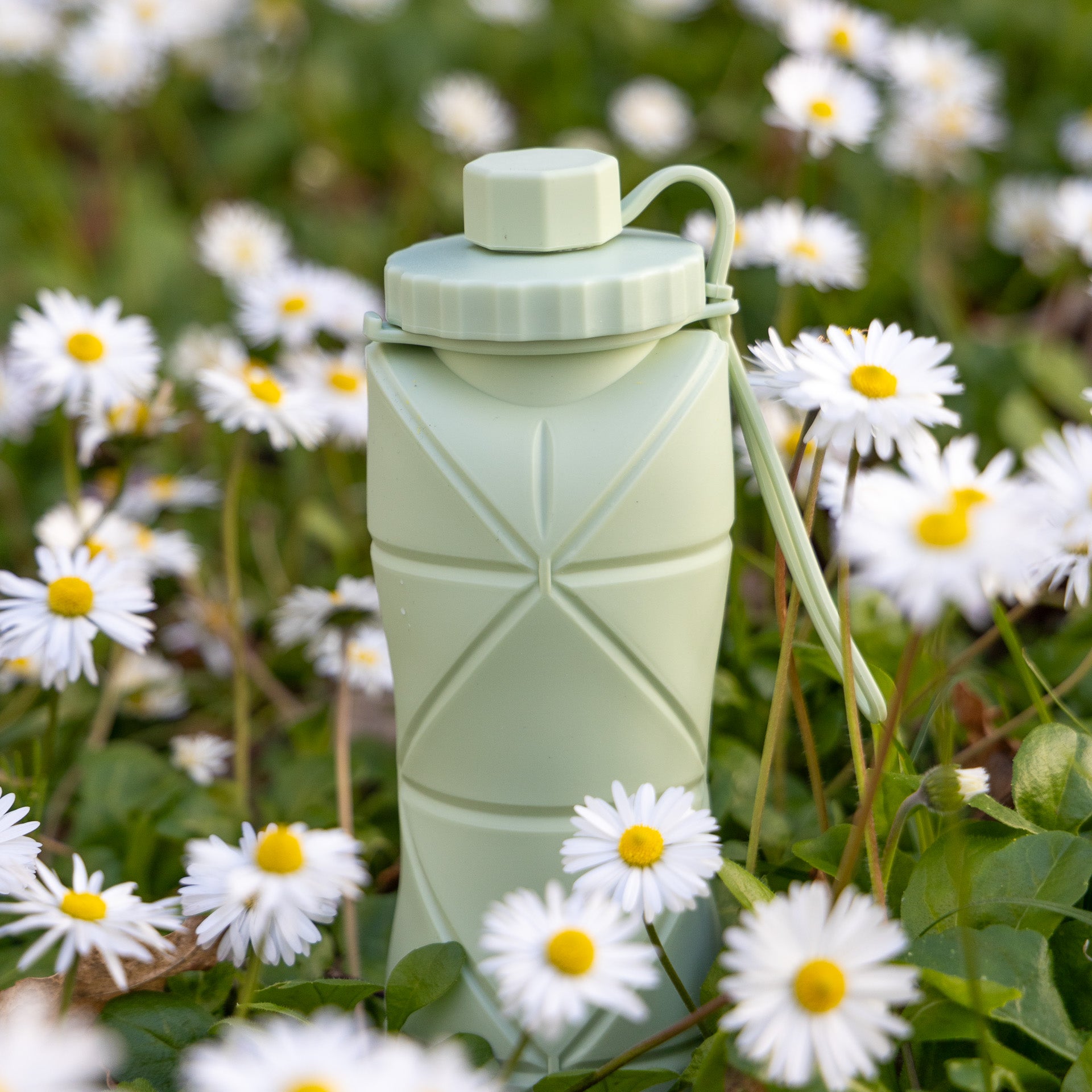 Collapsible Drinking Bottle (assorted colours)