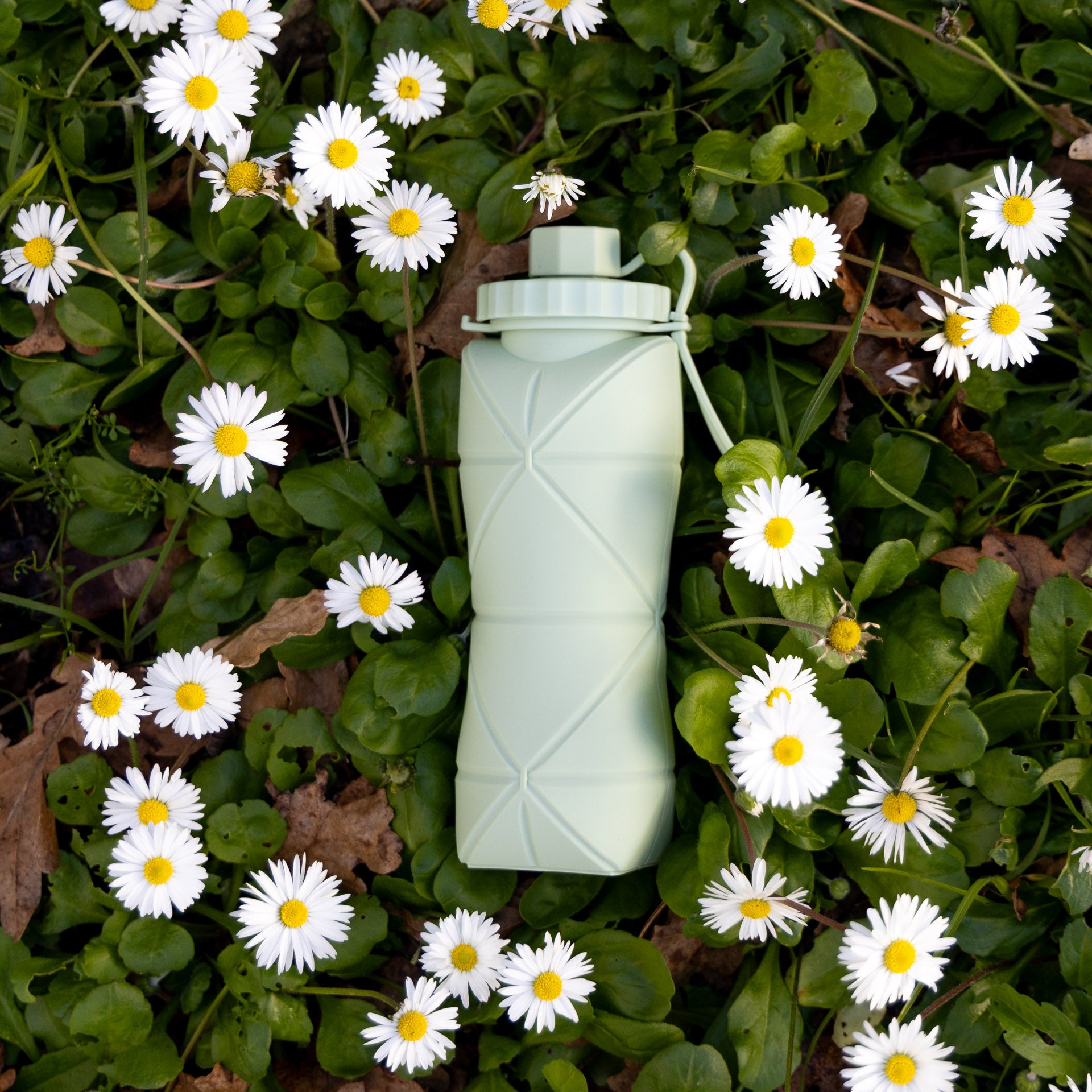 Collapsible Drinking Bottle (assorted colours)