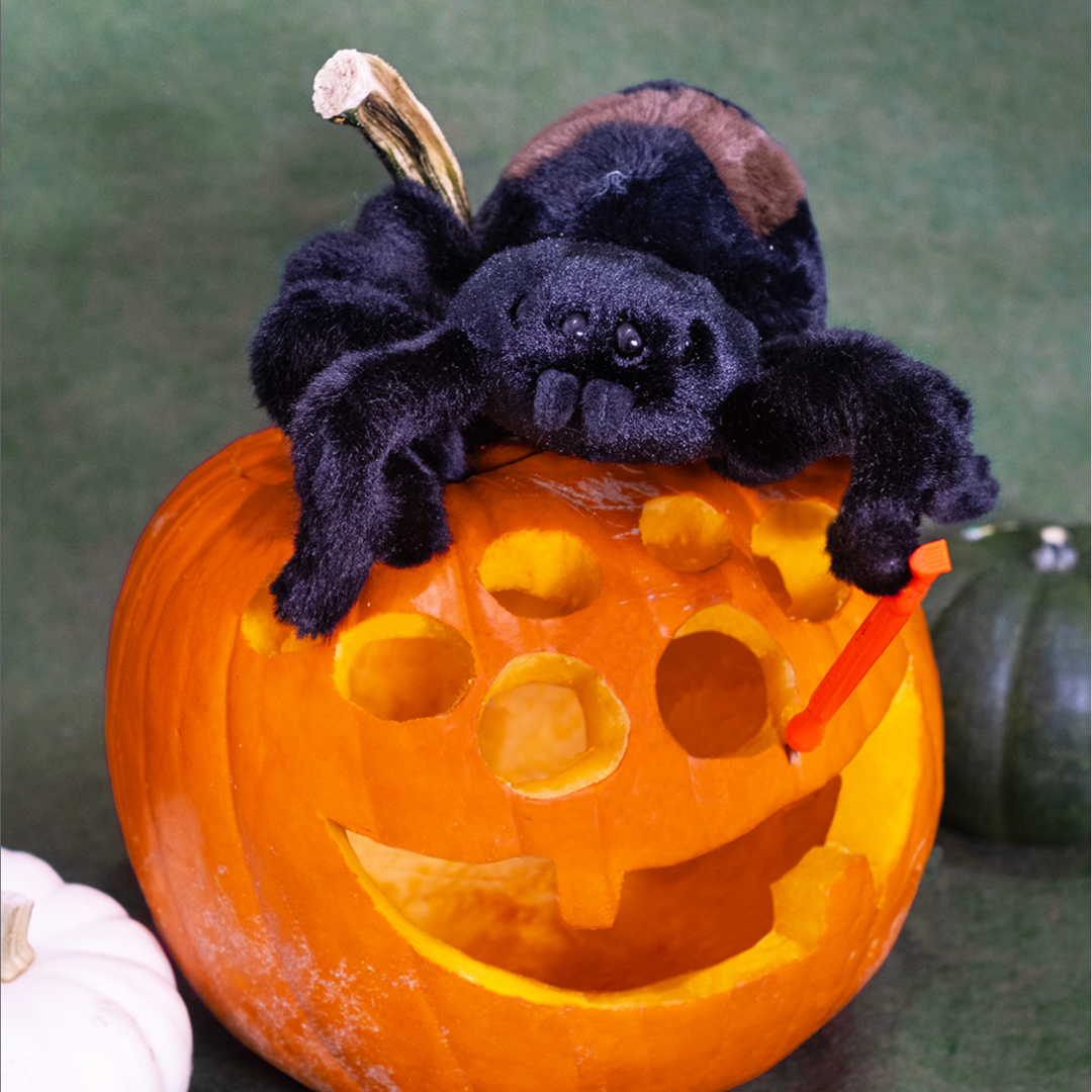 Sneakie the Spider Deluxe Plush Toy