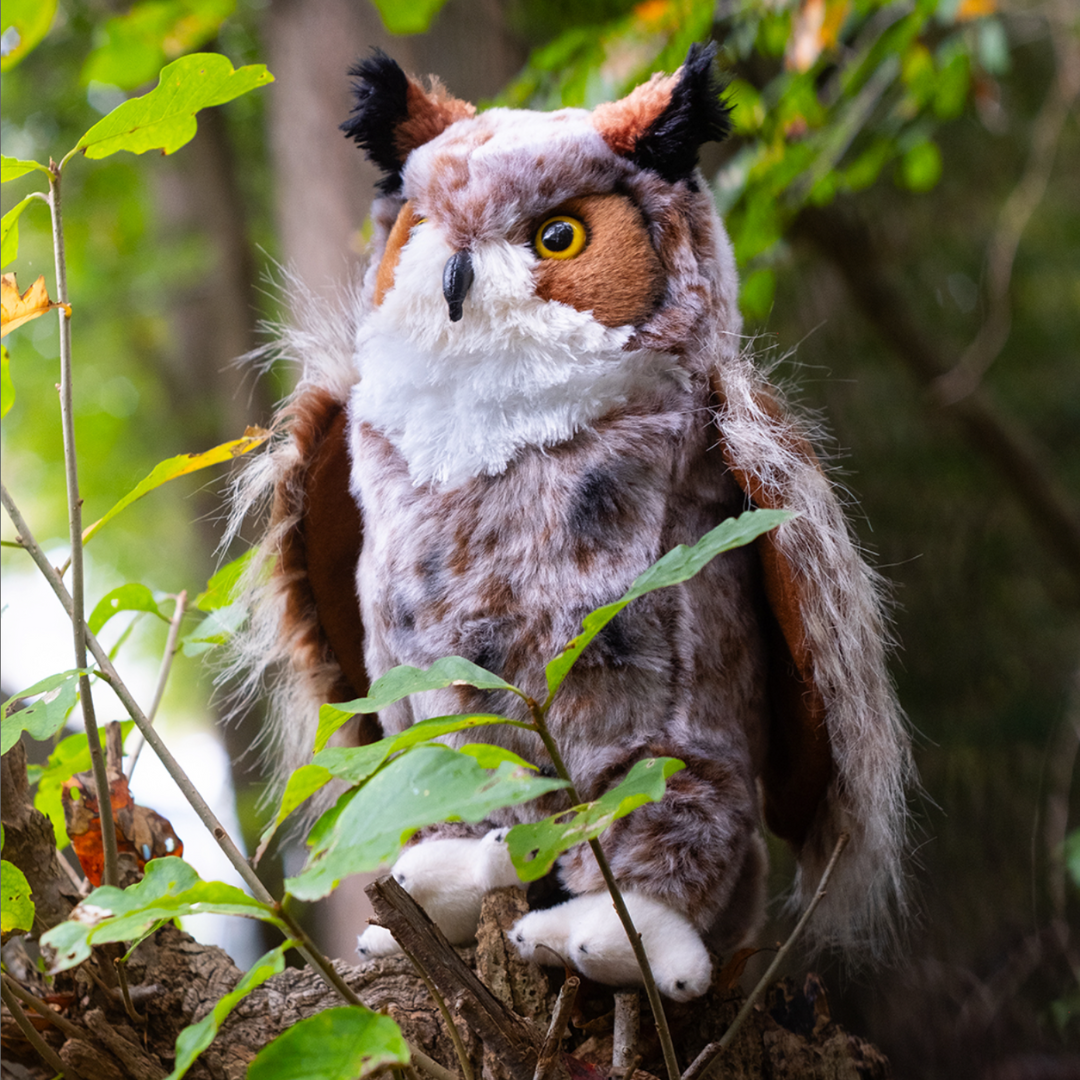 Einstein the Great Horned Owl Deluxe Plush Toy