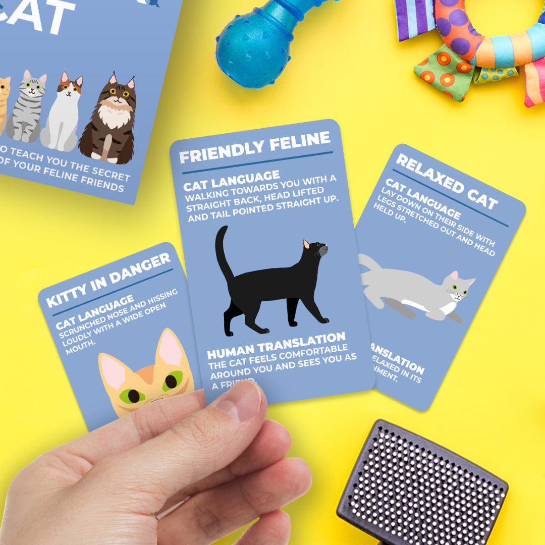 "How to Speak Cat" Card Pack