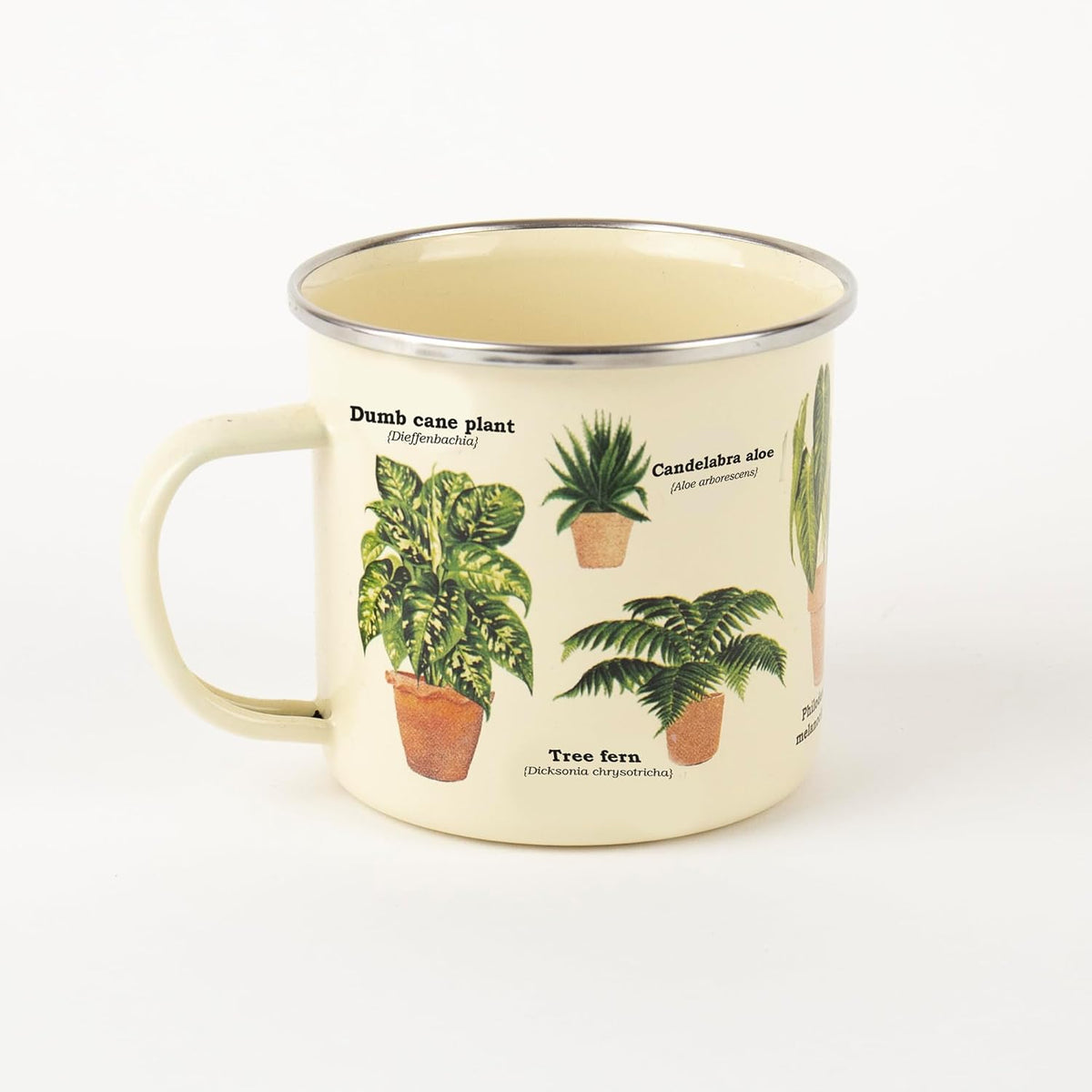 Houseplants Enamel Mug