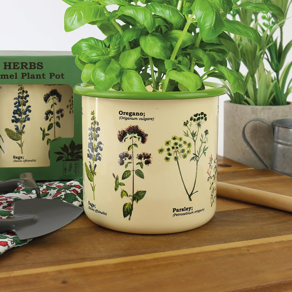 Herbs Enamel Plant Pot
