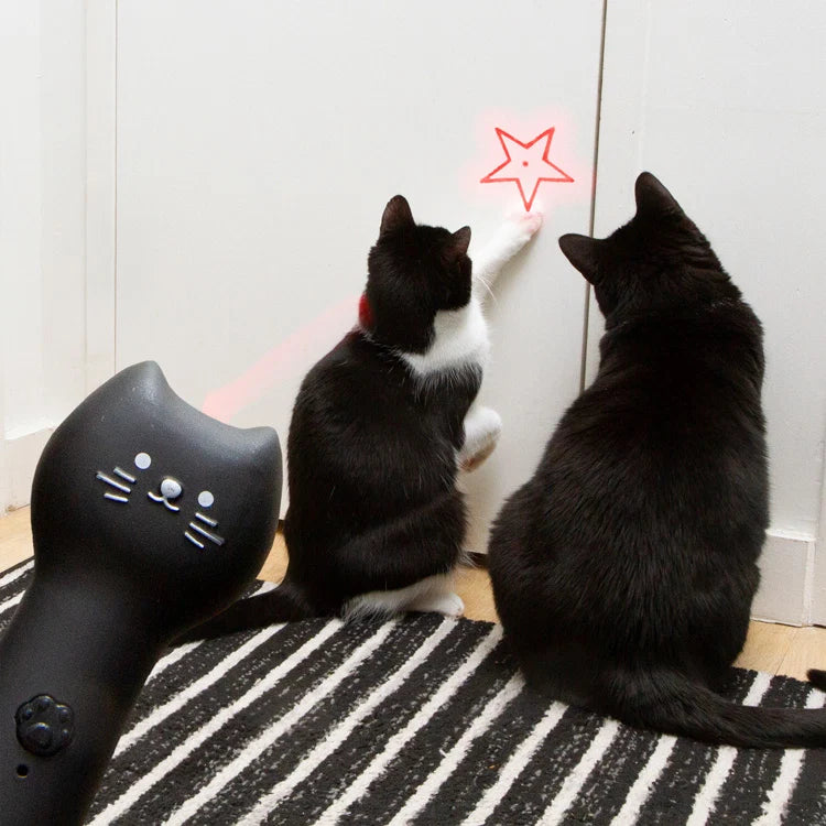 Kiko Rechargeable Pounce & Play Laser