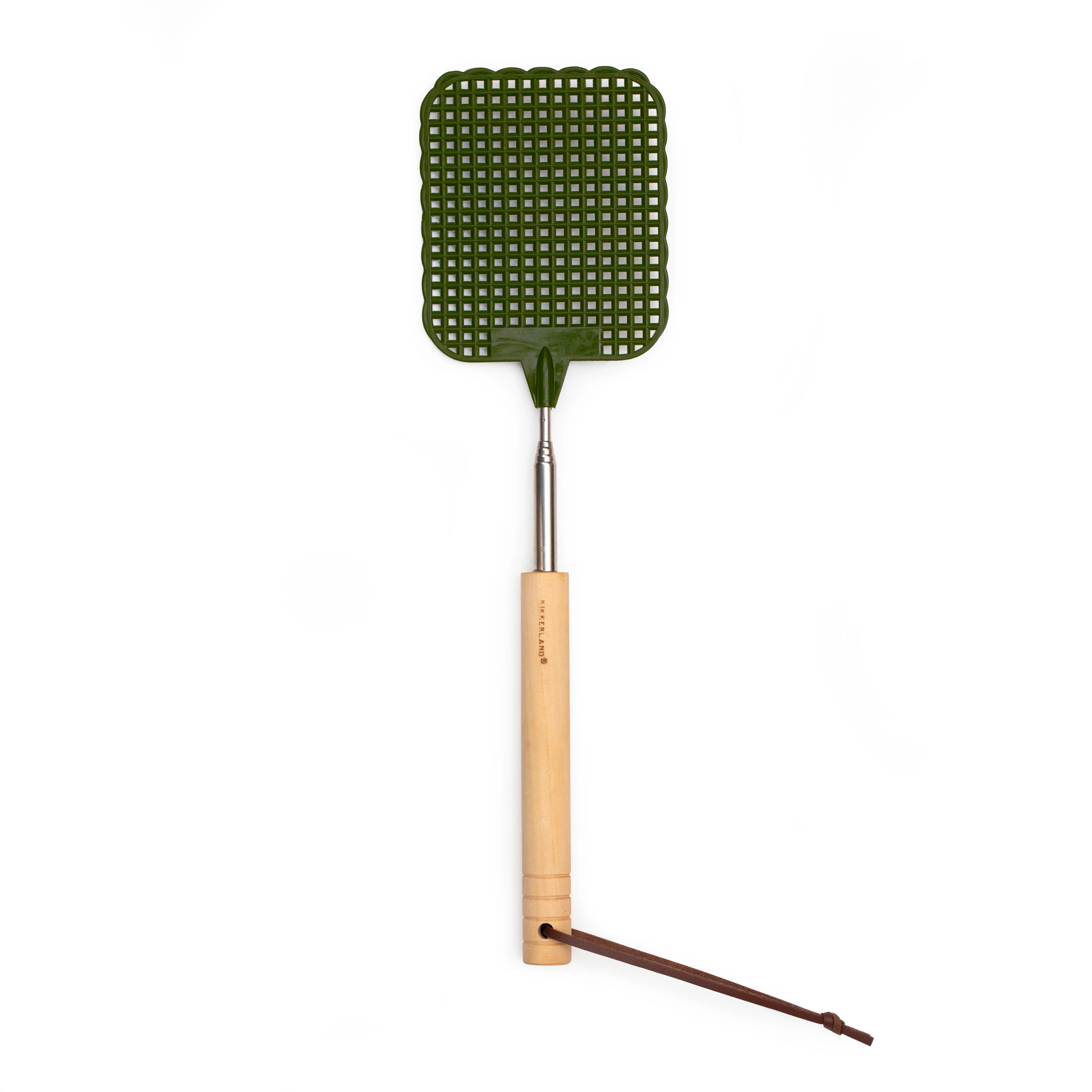 Telescopic Fly Swatter (assorted colours)