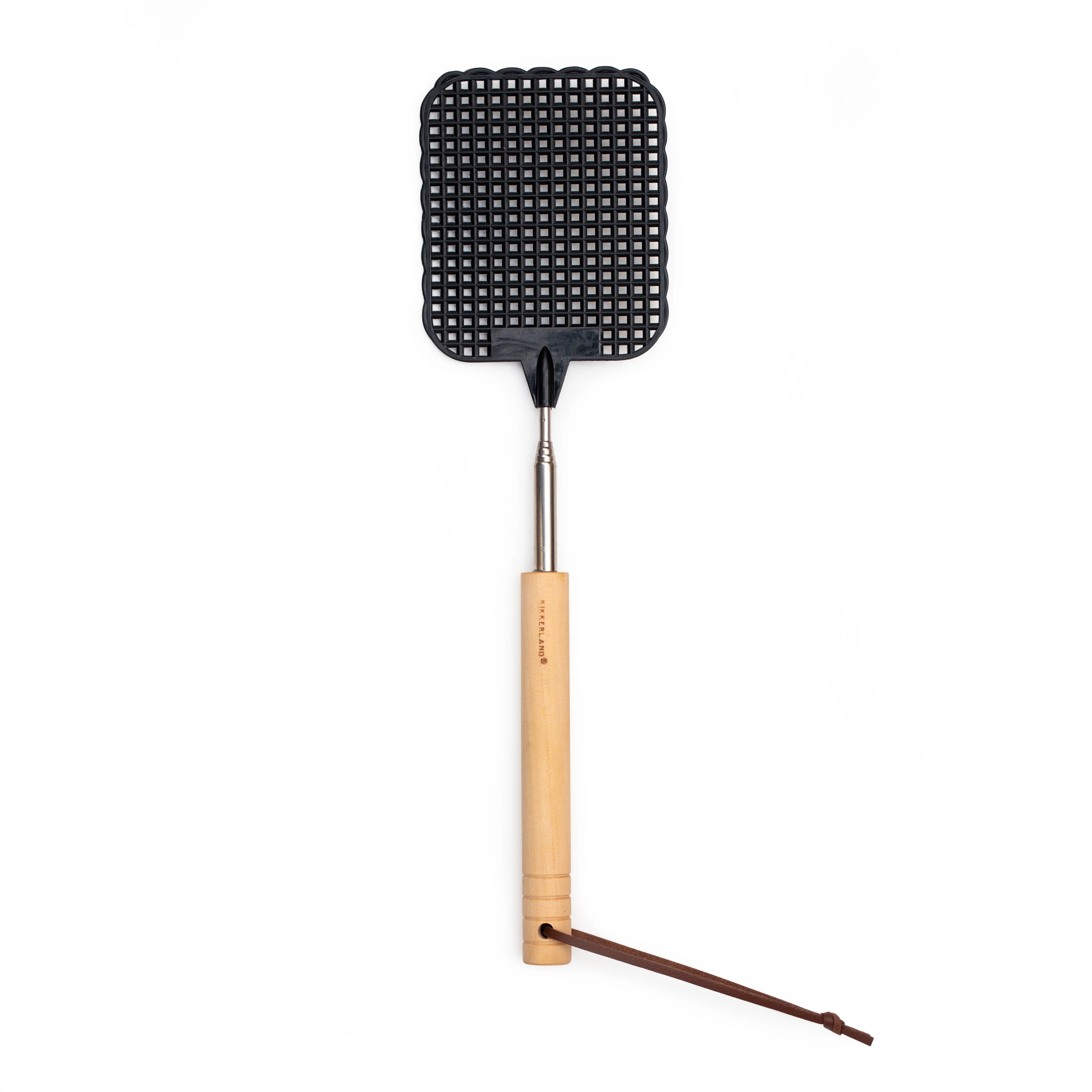 Telescopic Fly Swatter (assorted colours)