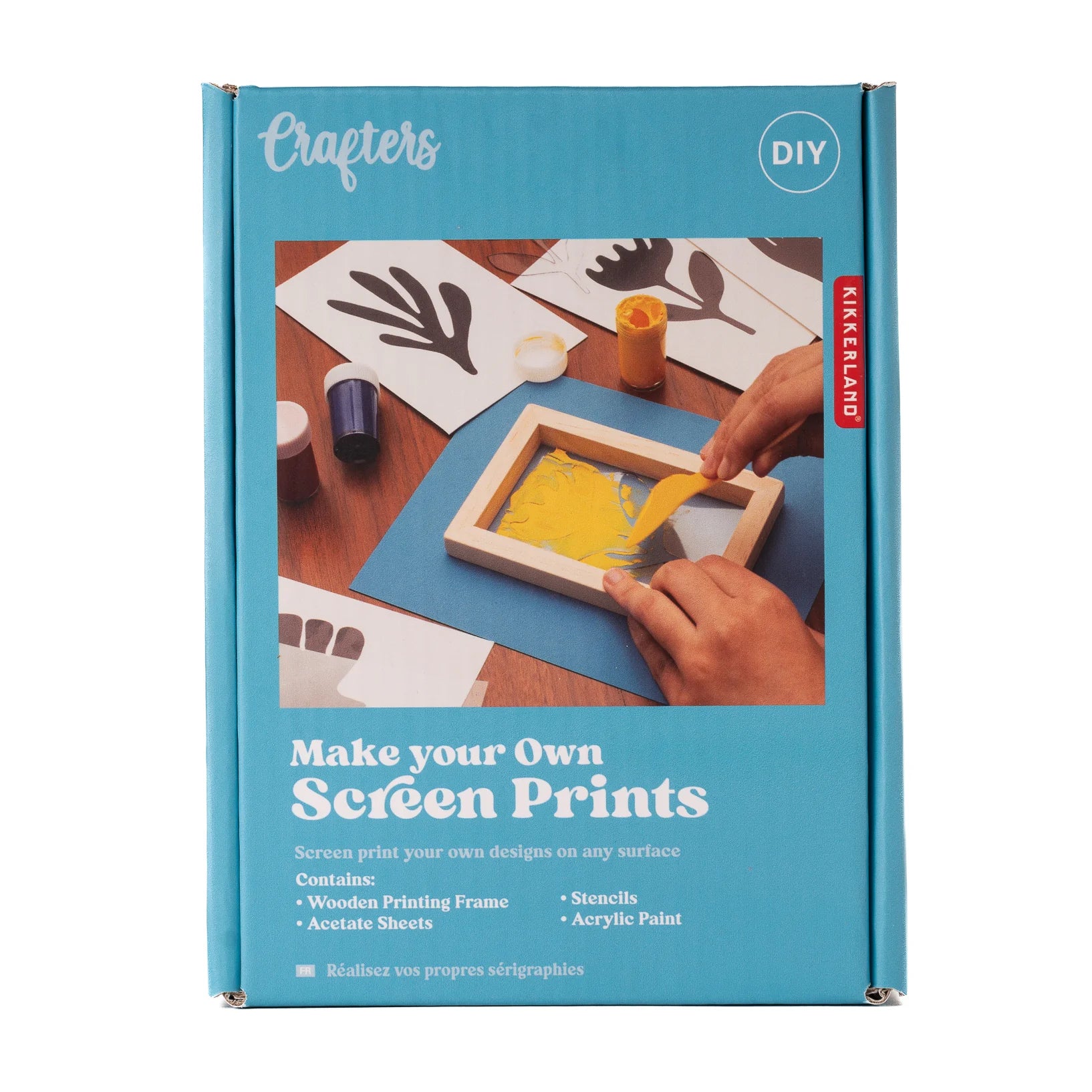 Make Your Own Screen Prints Kit