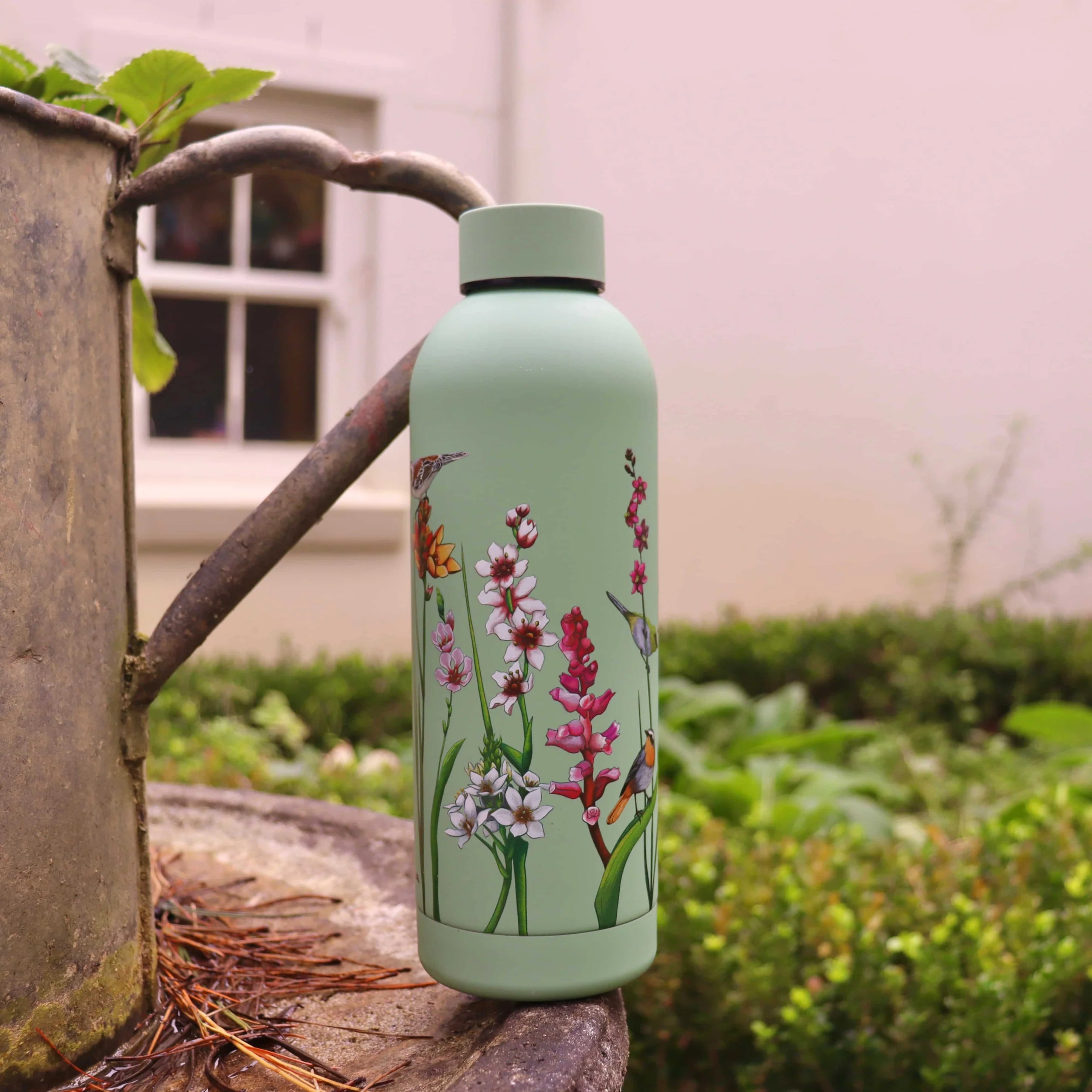 CosyCore Stainless Steel Flasks – Cape Bulbs & Birds