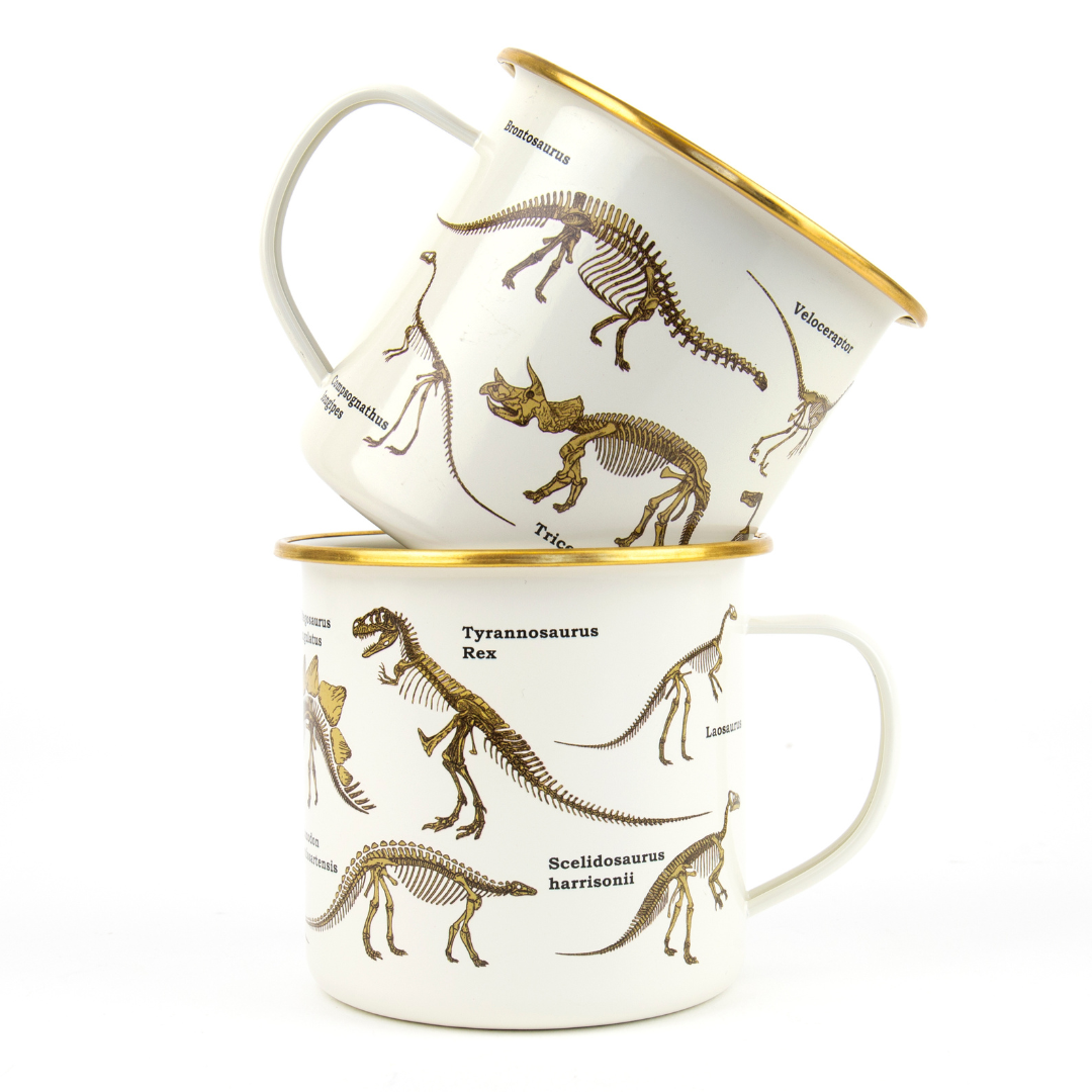 Enamel Mug with Dinosaur Design