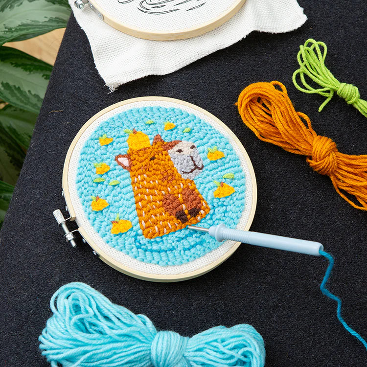 Punch Needle Embroidery Kits (assorted designs)