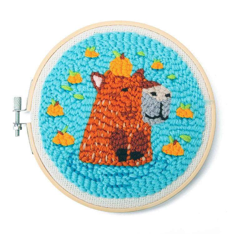Punch Needle Embroidery Kits (assorted designs)