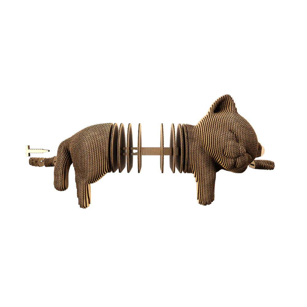 Kitten Trio 3D Puzzle