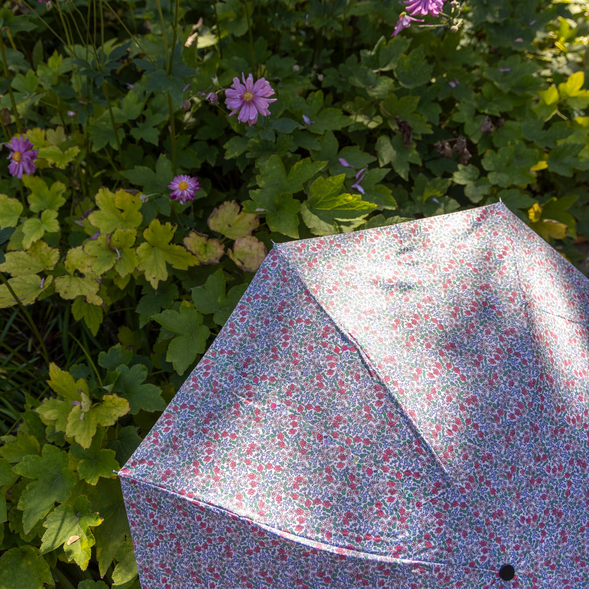 Floral Ditsy Print Folding Umbrella