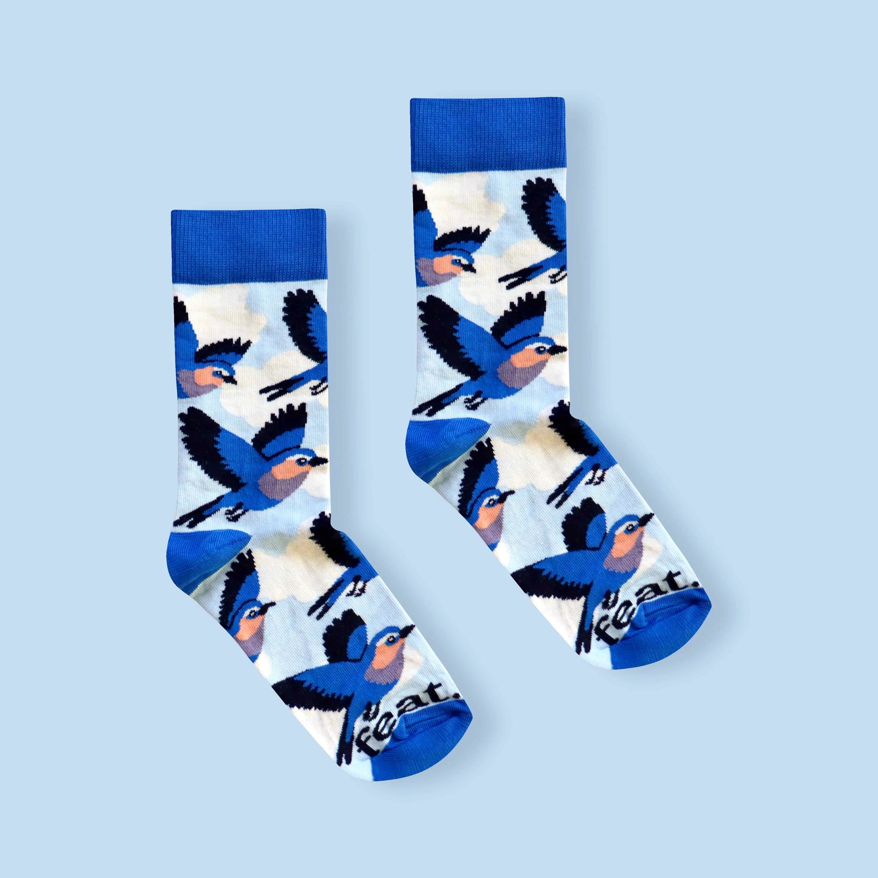 Lilac Breasted Roller Socks (His & Hers sizes)