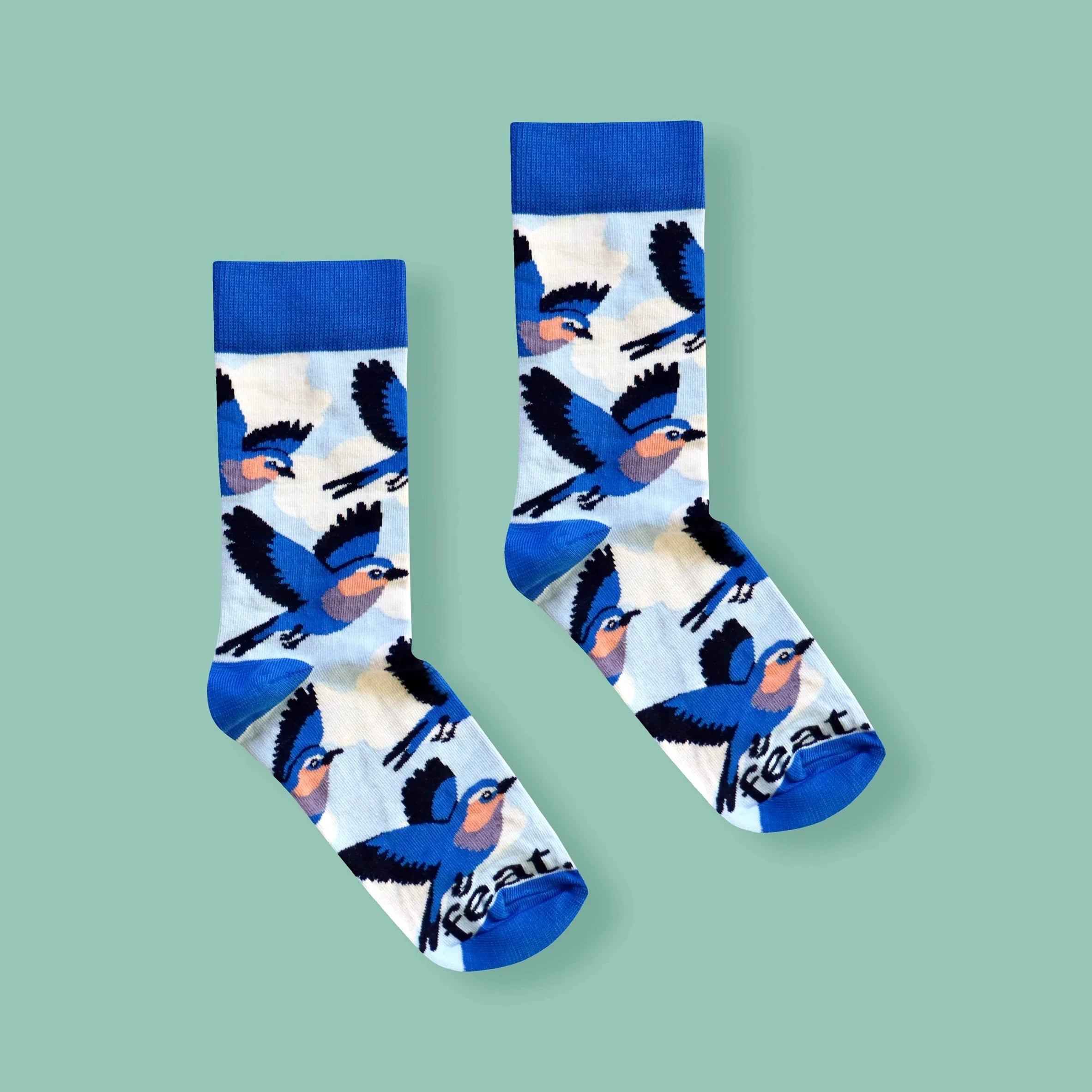 Lilac Breasted Roller Socks (His & Hers sizes)