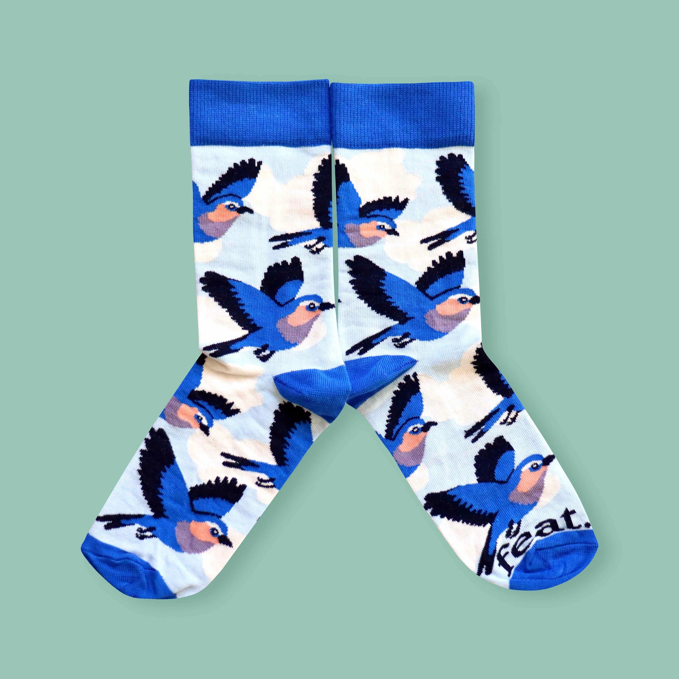 Lilac Breasted Roller Socks (His & Hers sizes)