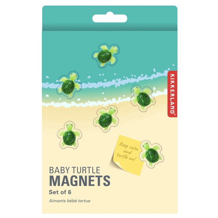 Baby Turtle Magnets (set of 6)