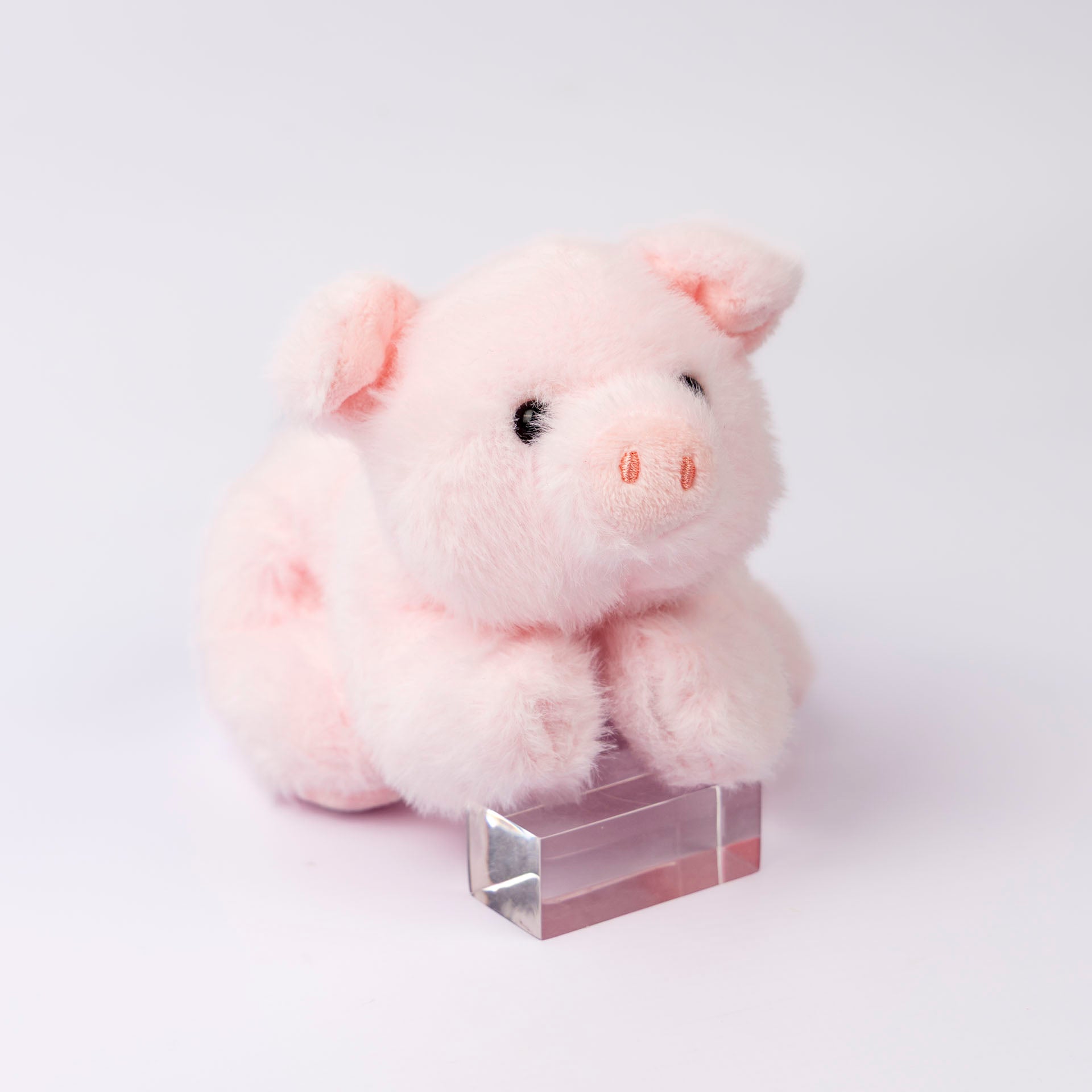 Petite Pig Plushie