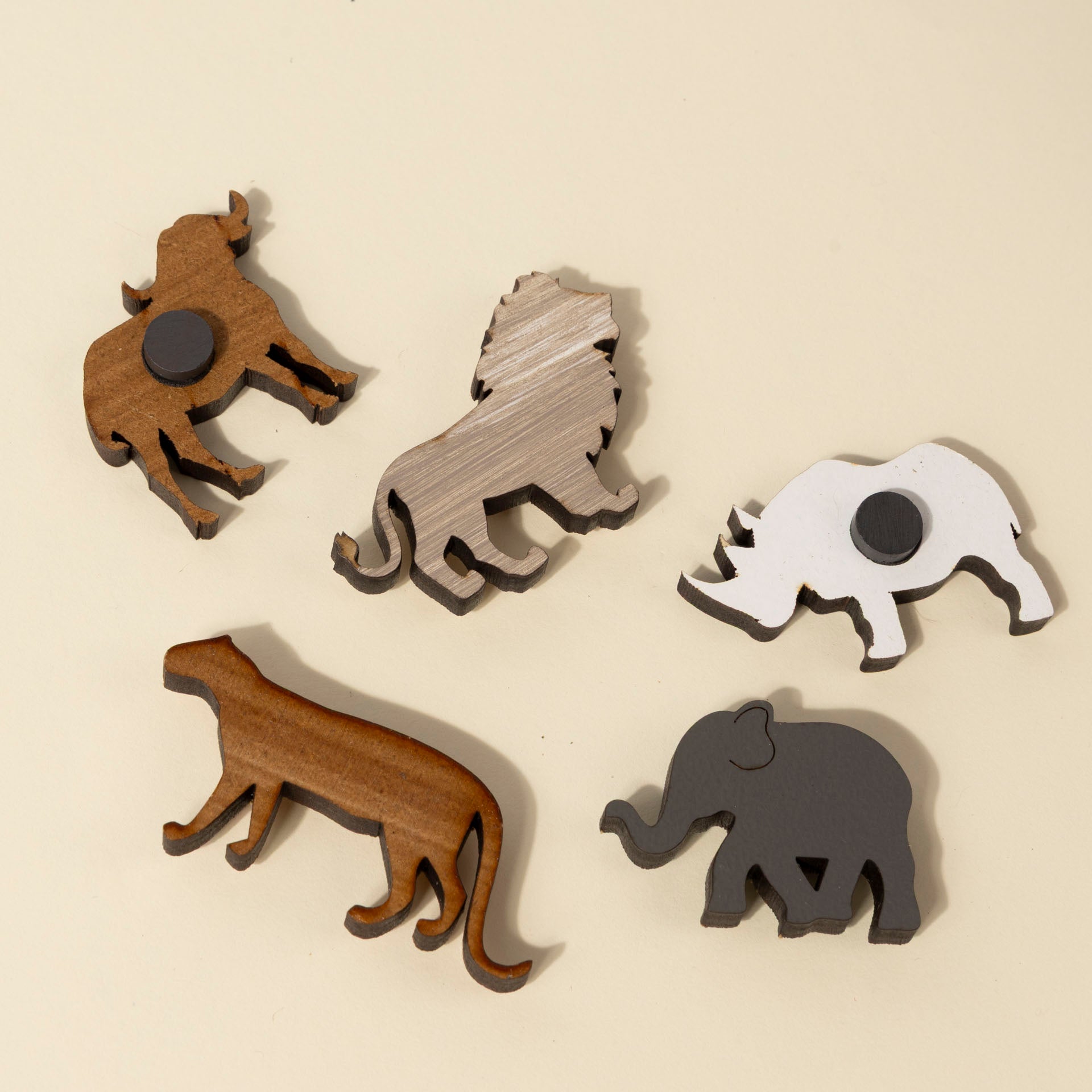 Big Five Magnets in a Gift Pouch