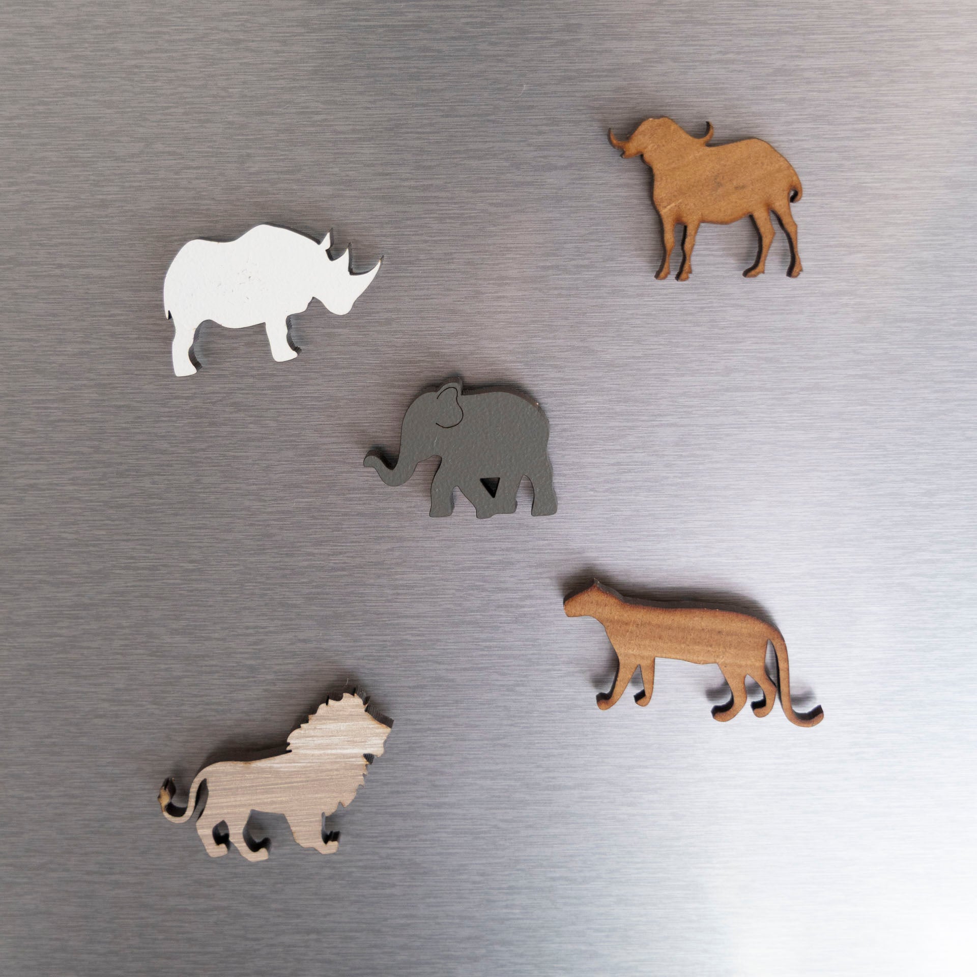 Big Five Magnets in a Gift Pouch