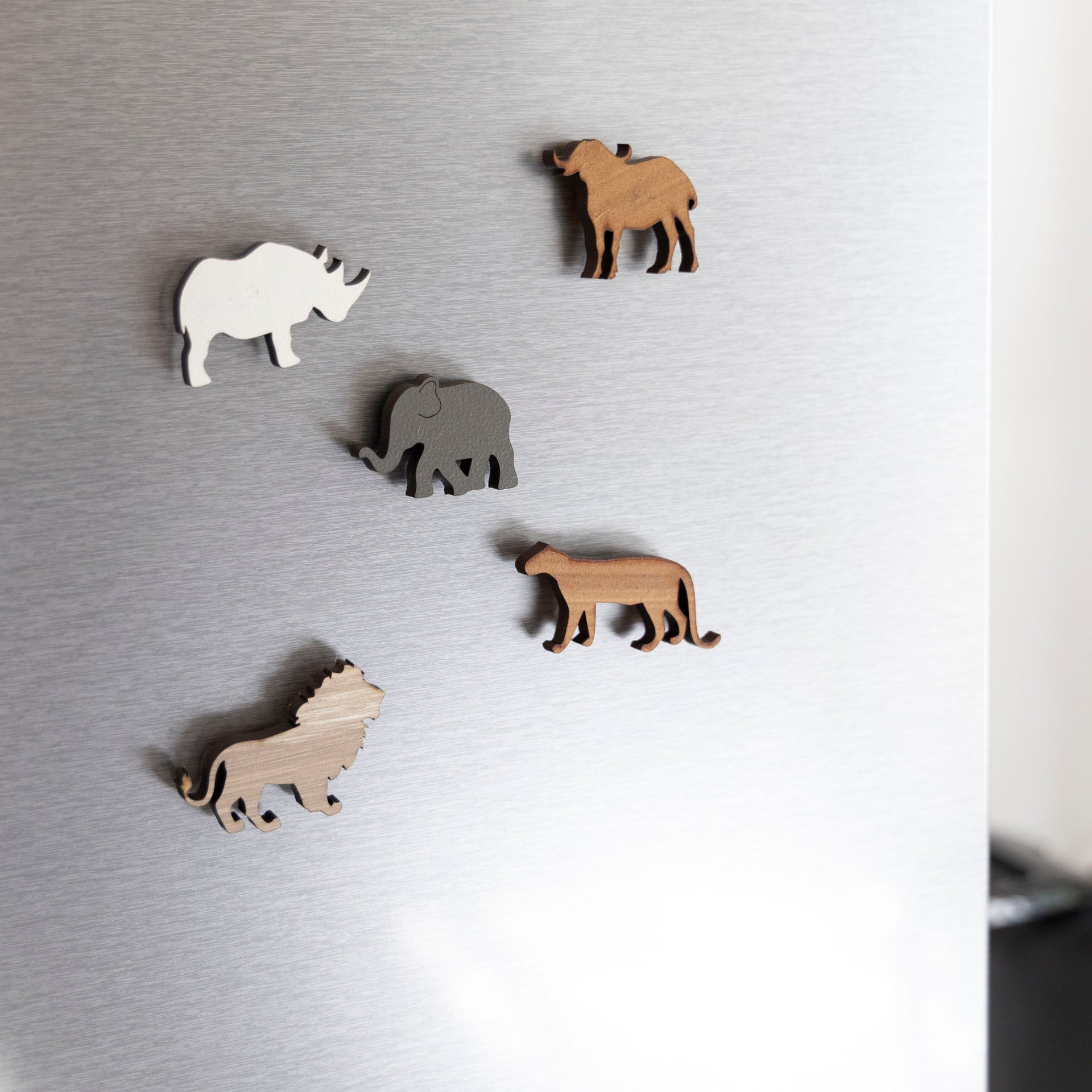 Big Five Magnets in a Gift Pouch