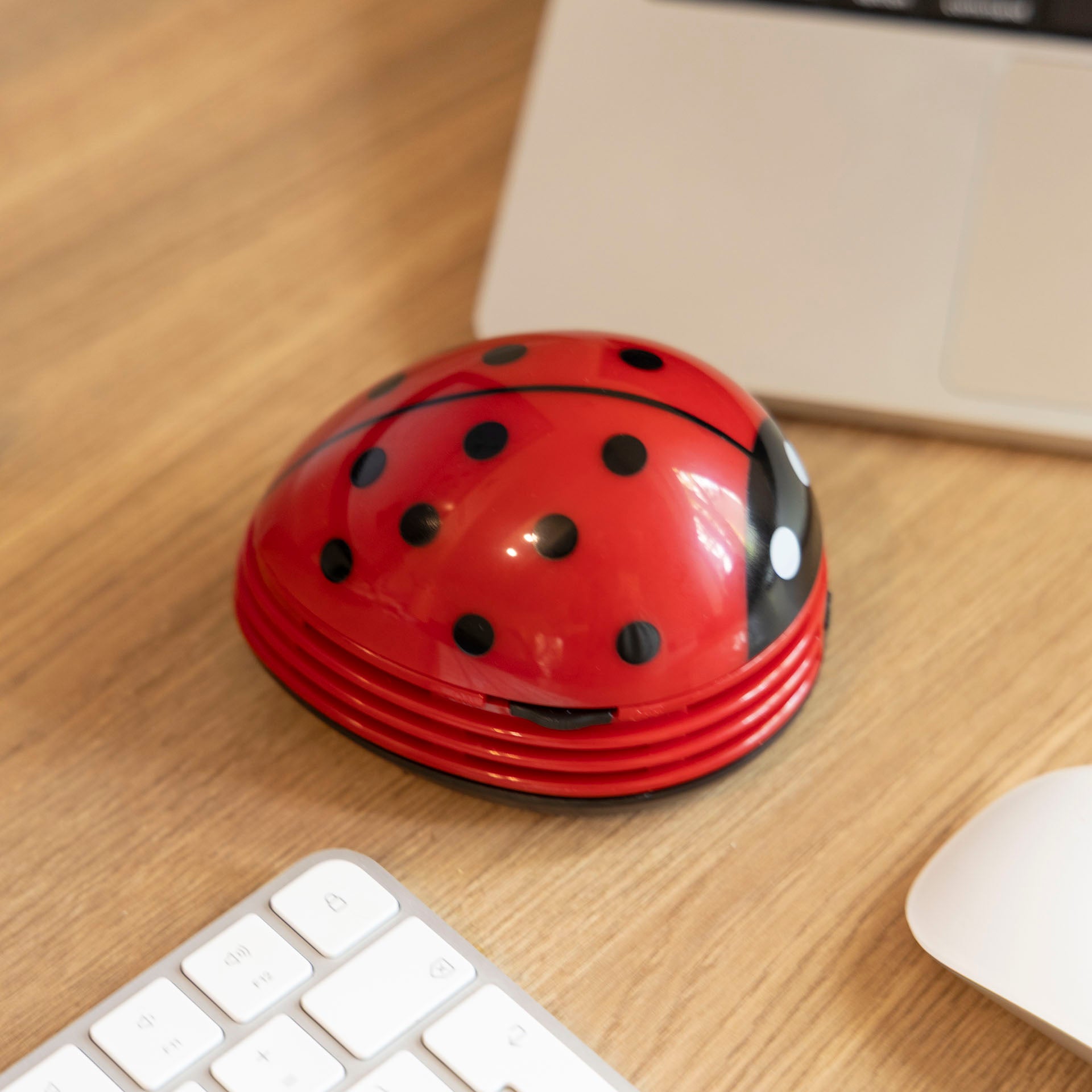 Ladybird Desk Vacuum