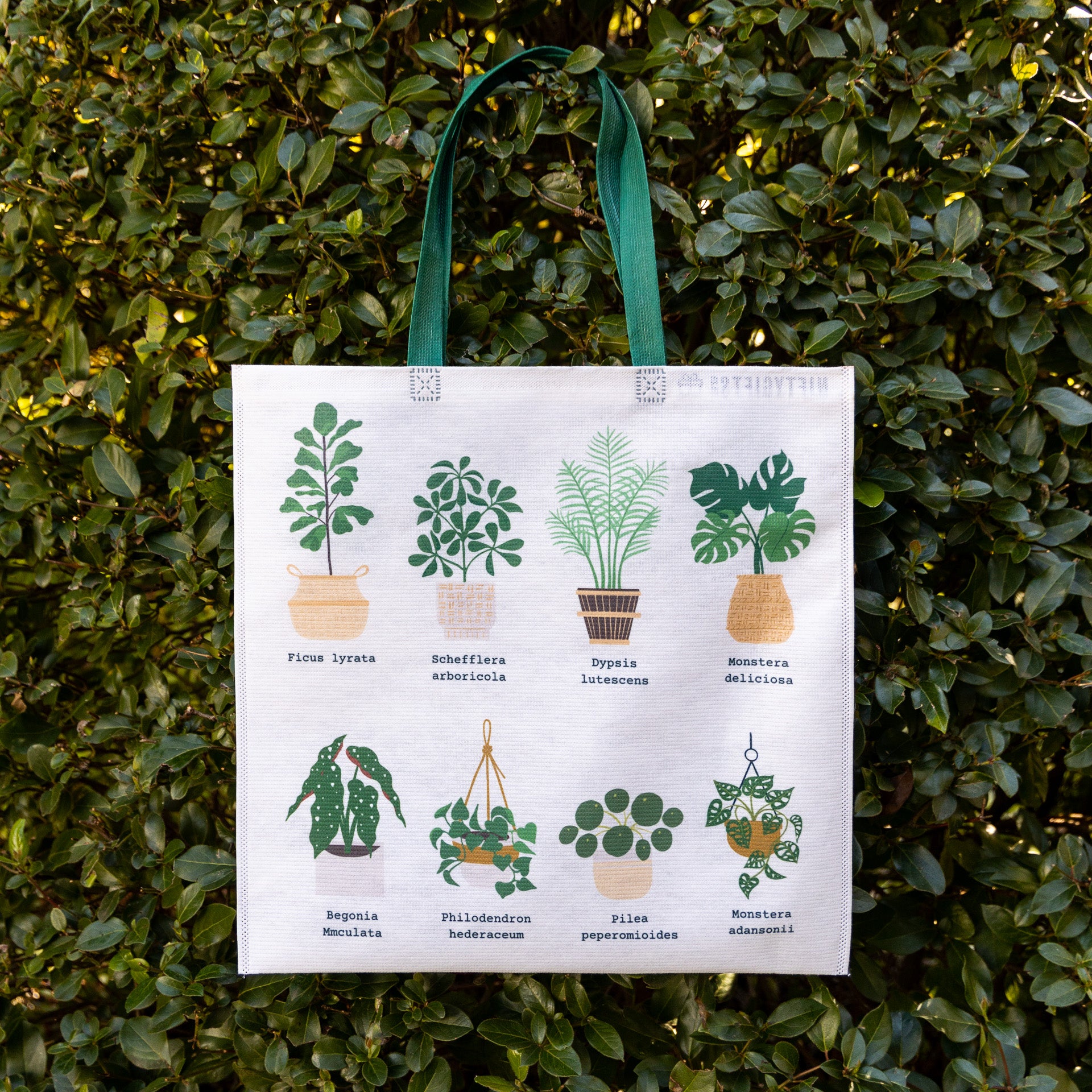 Plant Lover's Reusable Shopper