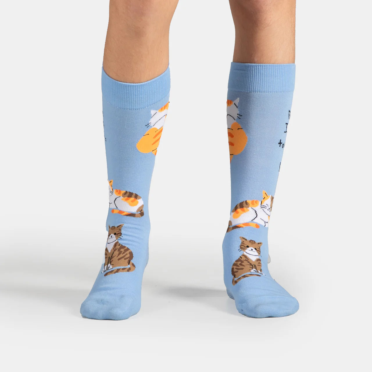 Men's "Meet Cats" Socks