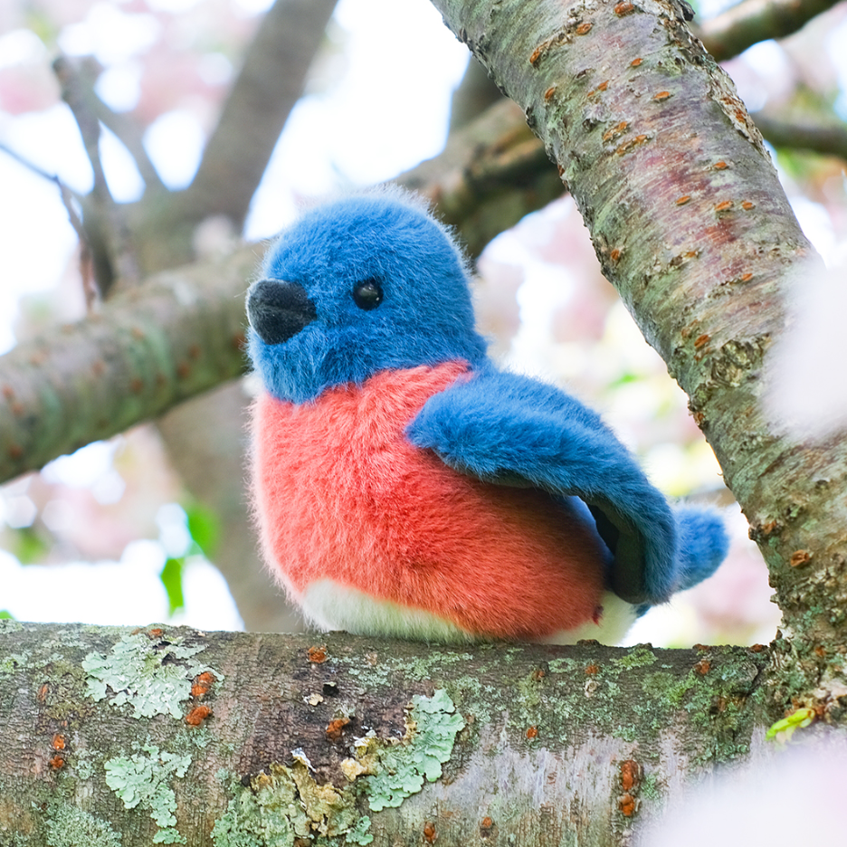 Bertie the Bluebird Deluxe Plush Toy