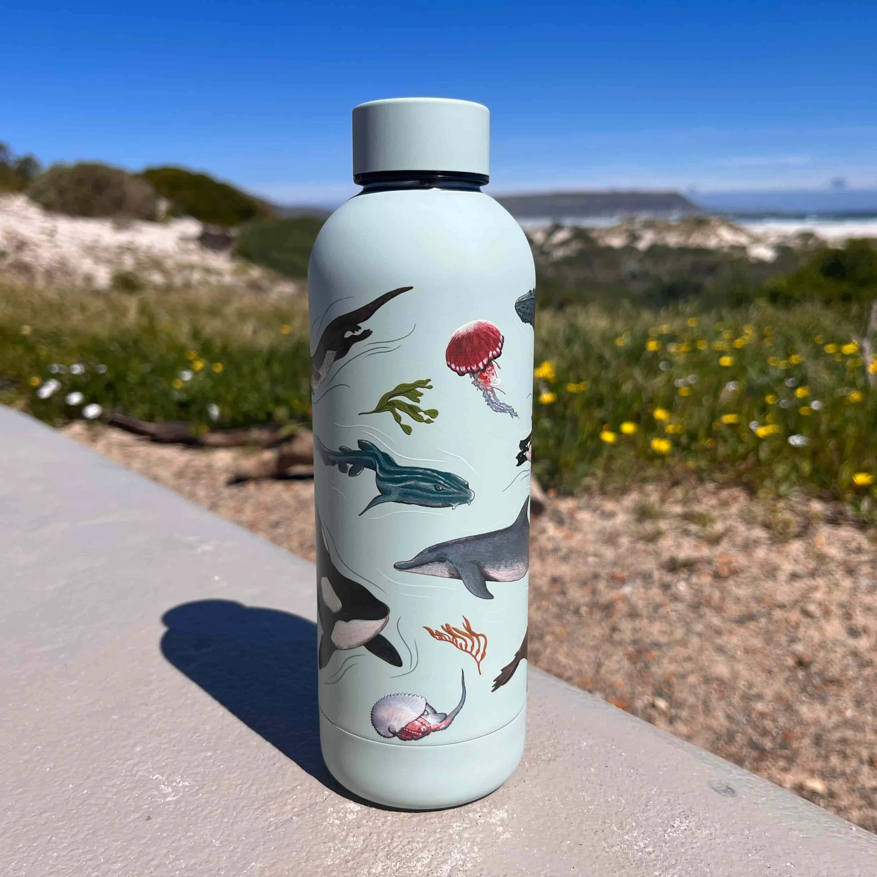 CosyCore Stainless Steel Flasks – Sea Life