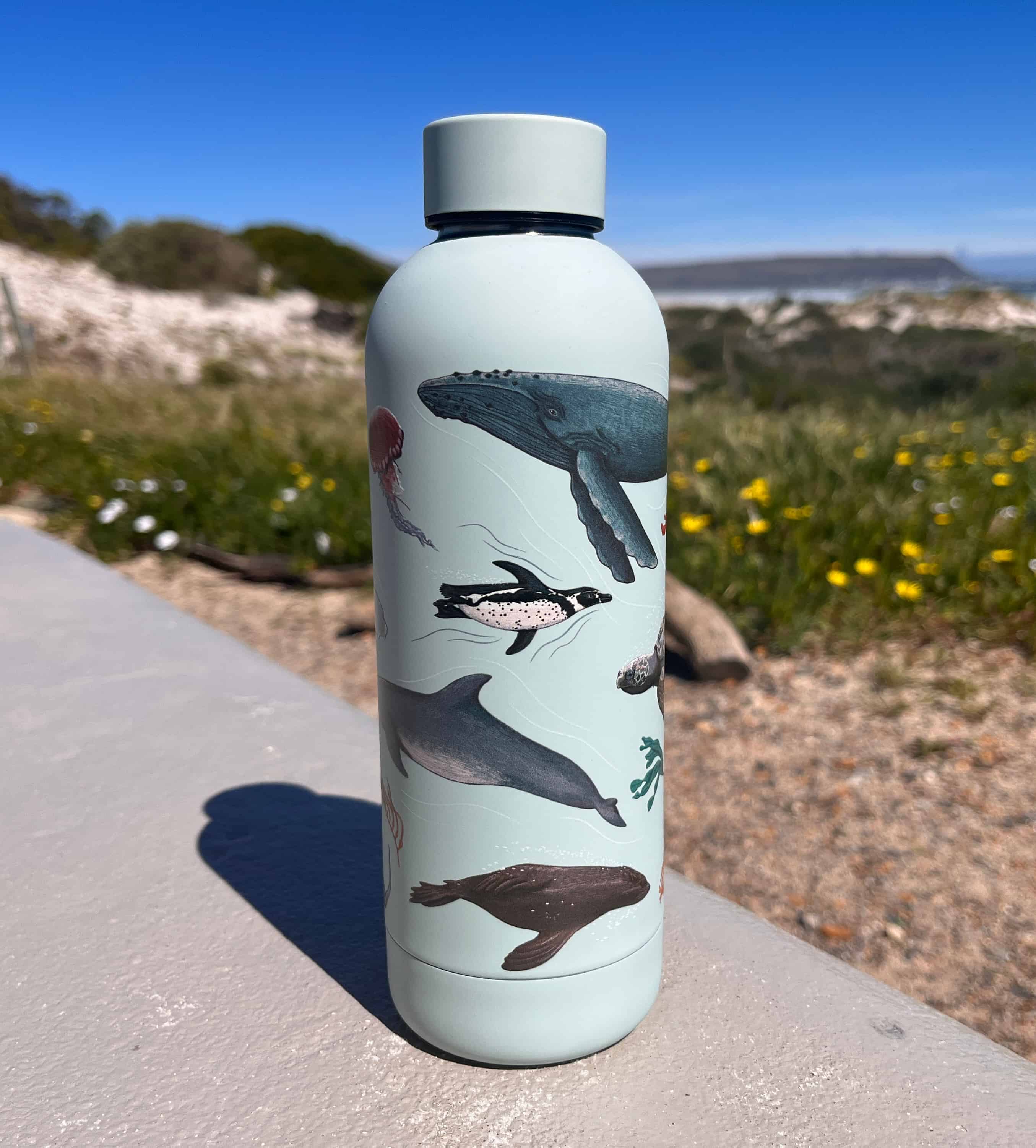 CosyCore Stainless Steel Flasks – Sea Life