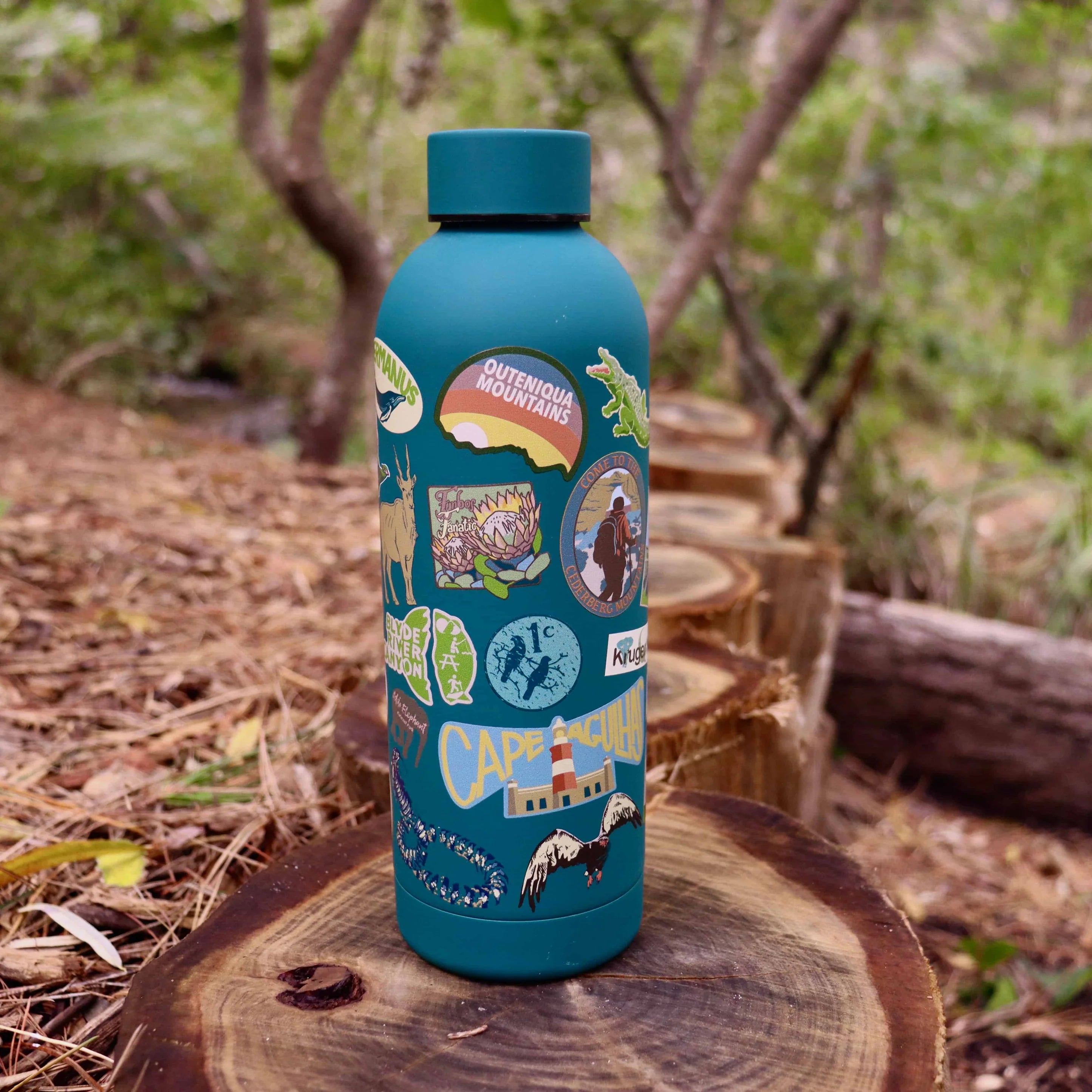 CosyCore Stainless Steel Flasks – Well-Travelled Edition