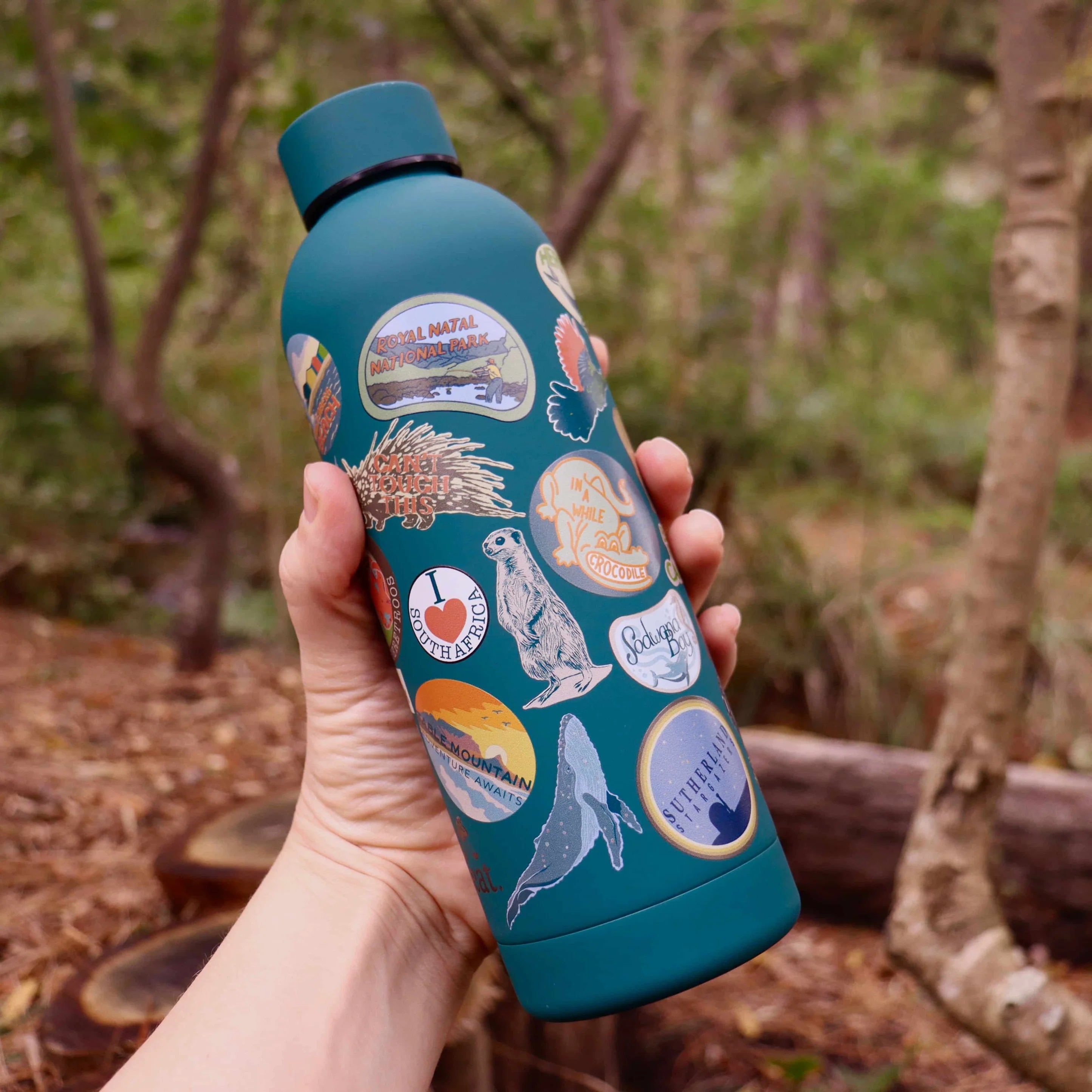 CosyCore Stainless Steel Flasks – Well-Travelled Edition