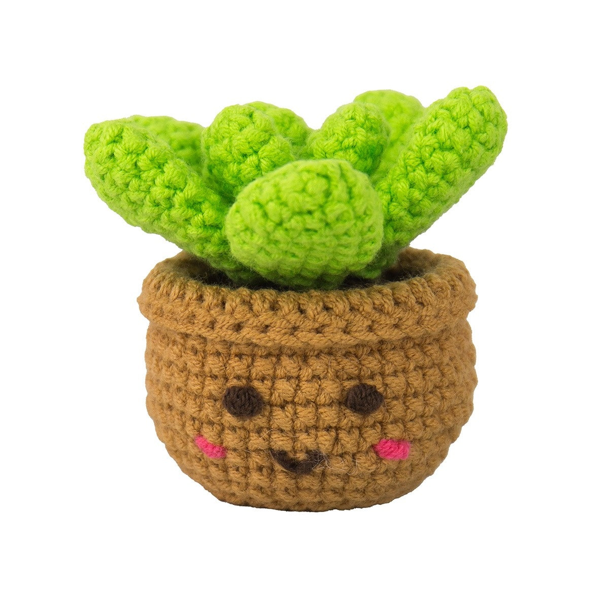 Mini House Plants Crochet Craft Kit