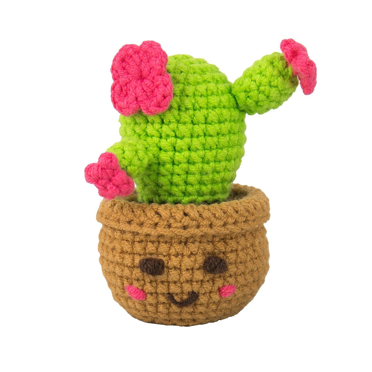 Mini House Plants Crochet Craft Kit