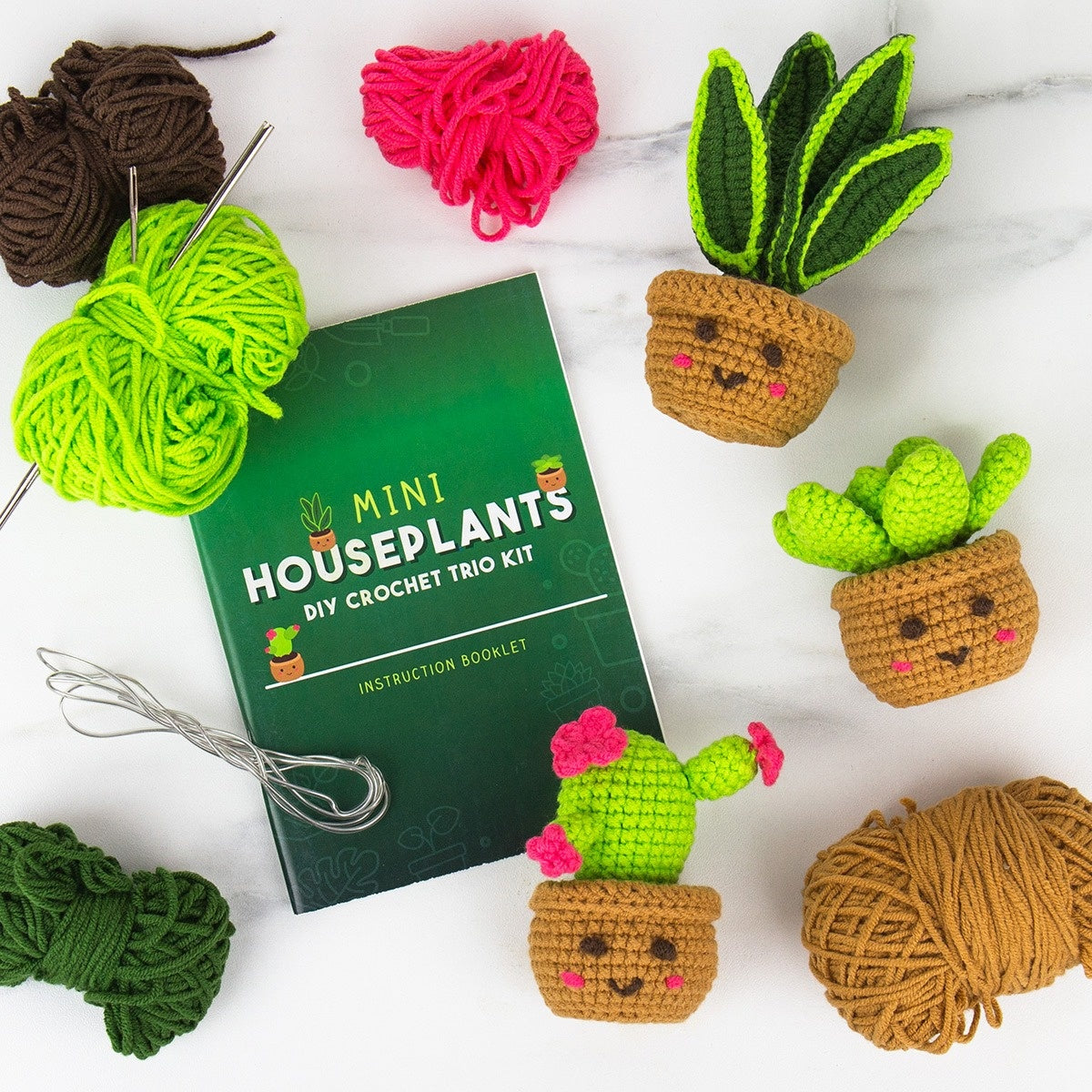Mini House Plants Crochet Craft Kit