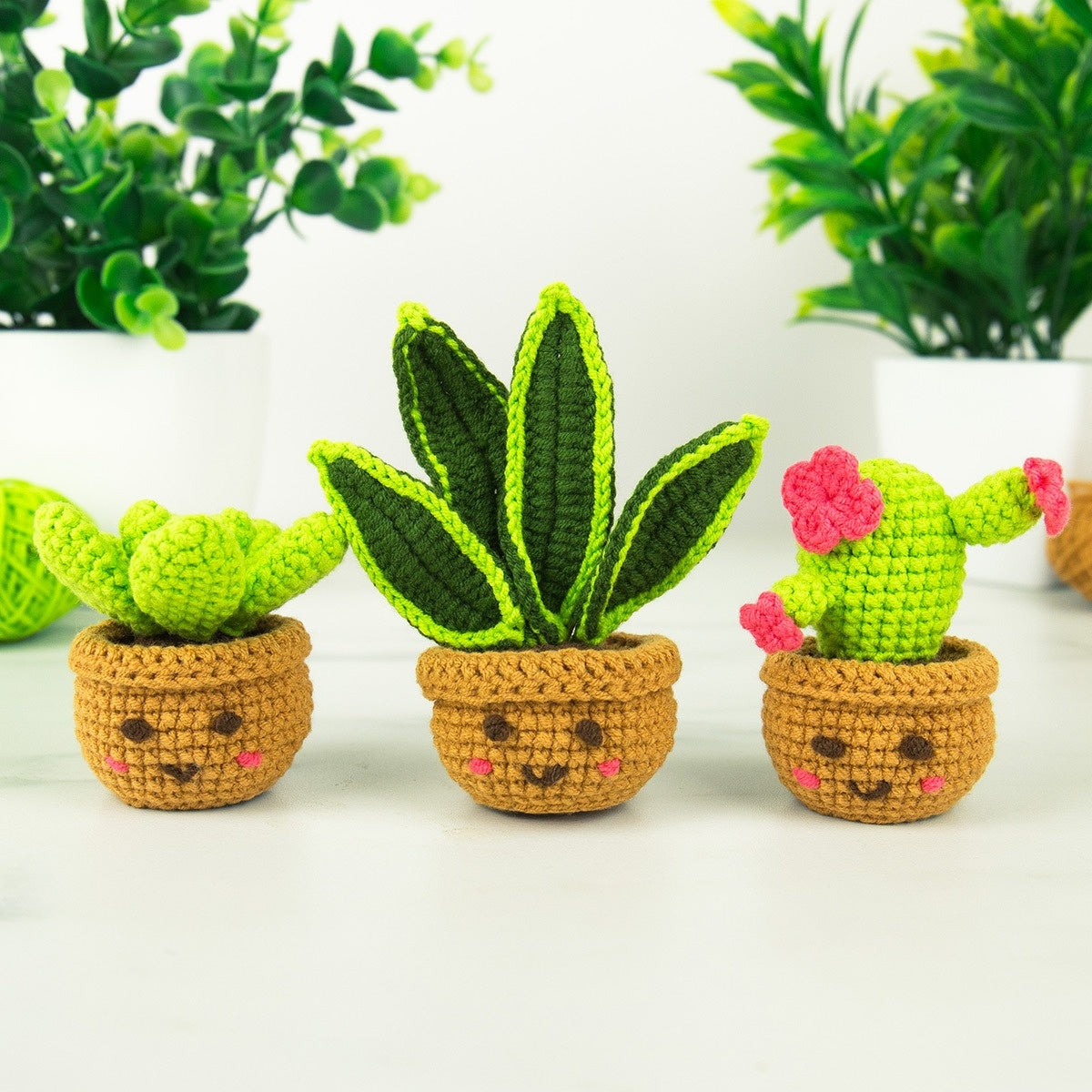 Mini House Plants Crochet Craft Kit