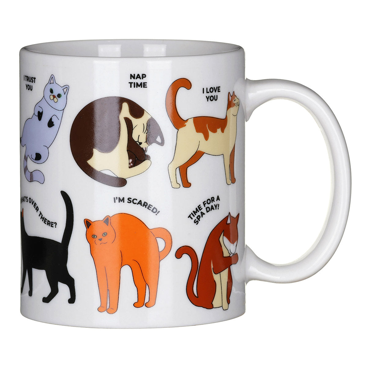 "How to Speak Cat" Mug