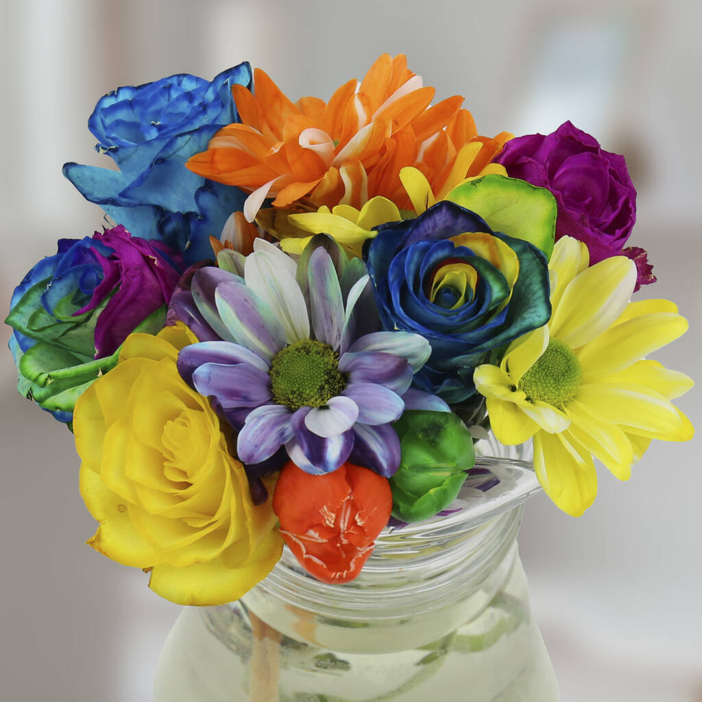 Create Your Own Rainbow Flowers Kit