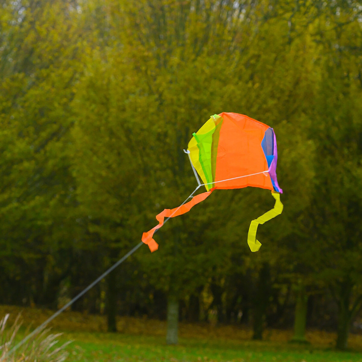 My World – Pocket Kite