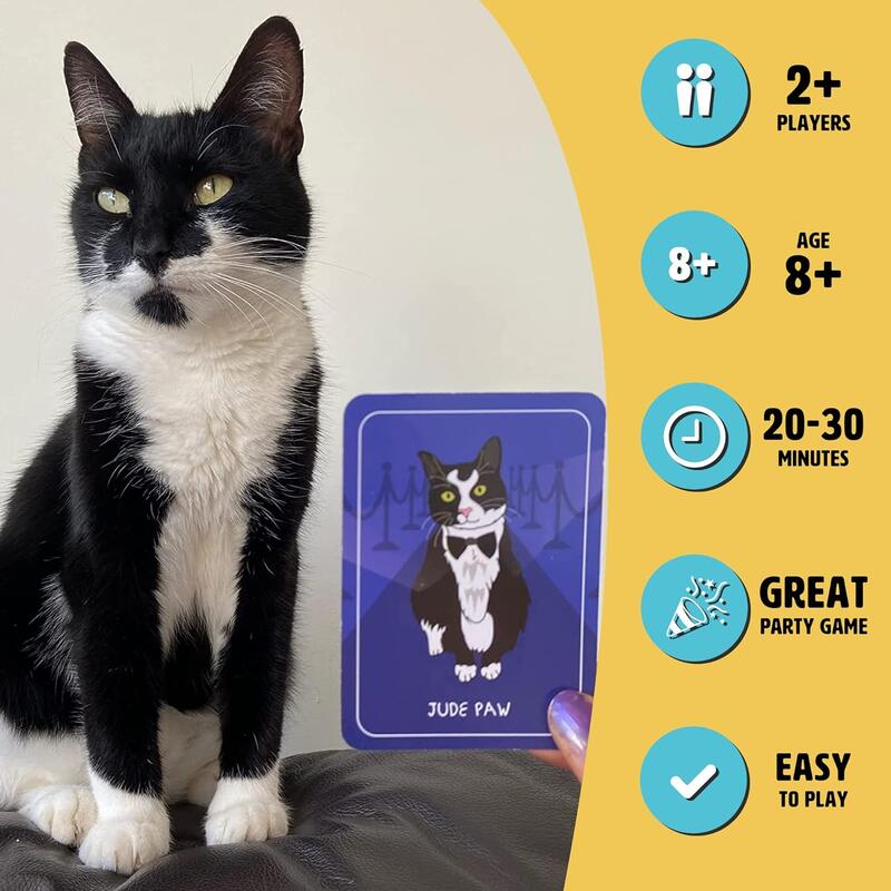 Cat Chaos Card Game