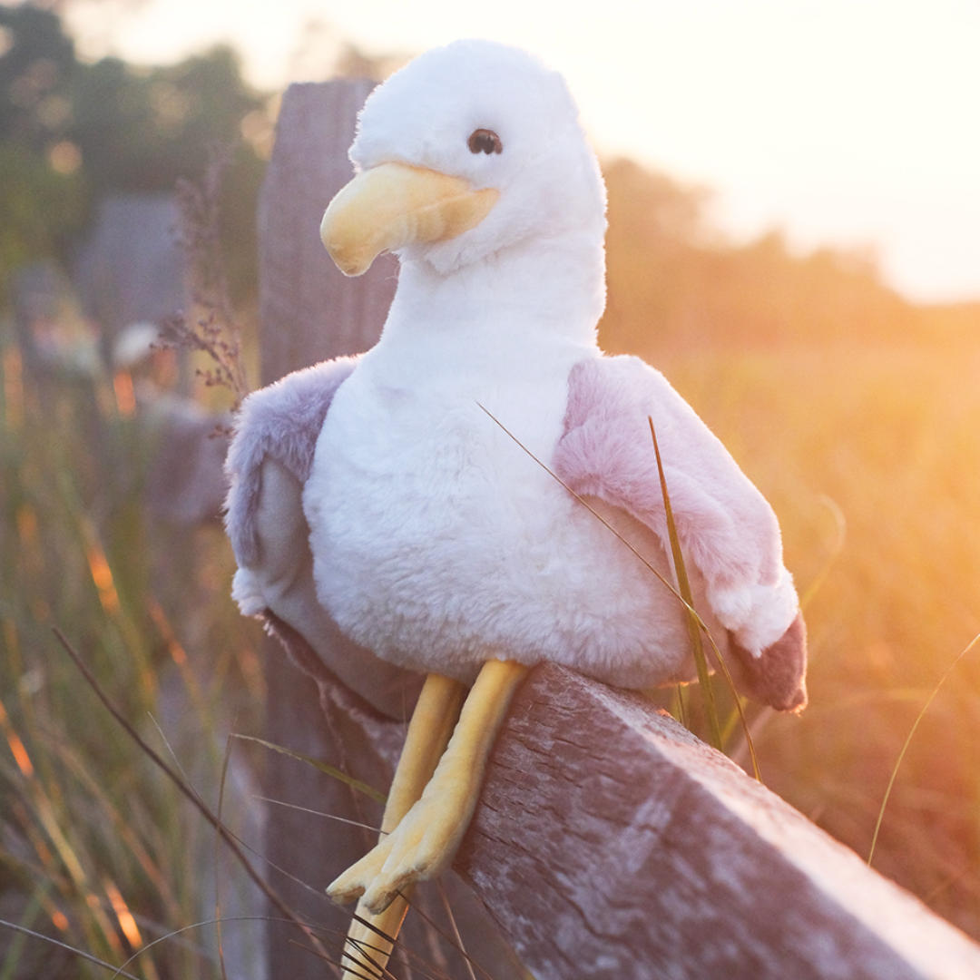 Seymour the Seagull Deluxe Plush Toy