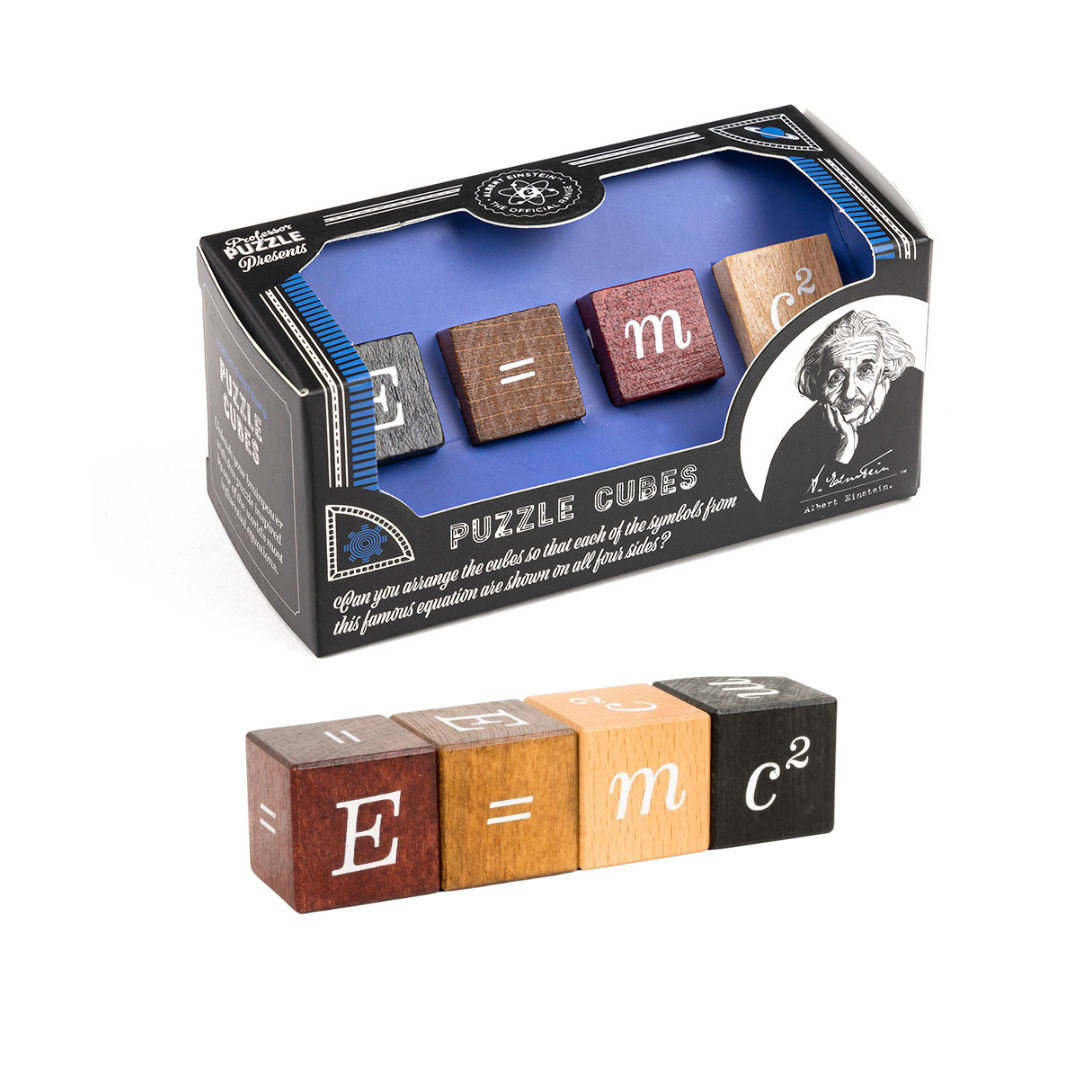 Einstein Mini Wood & Metal Puzzles