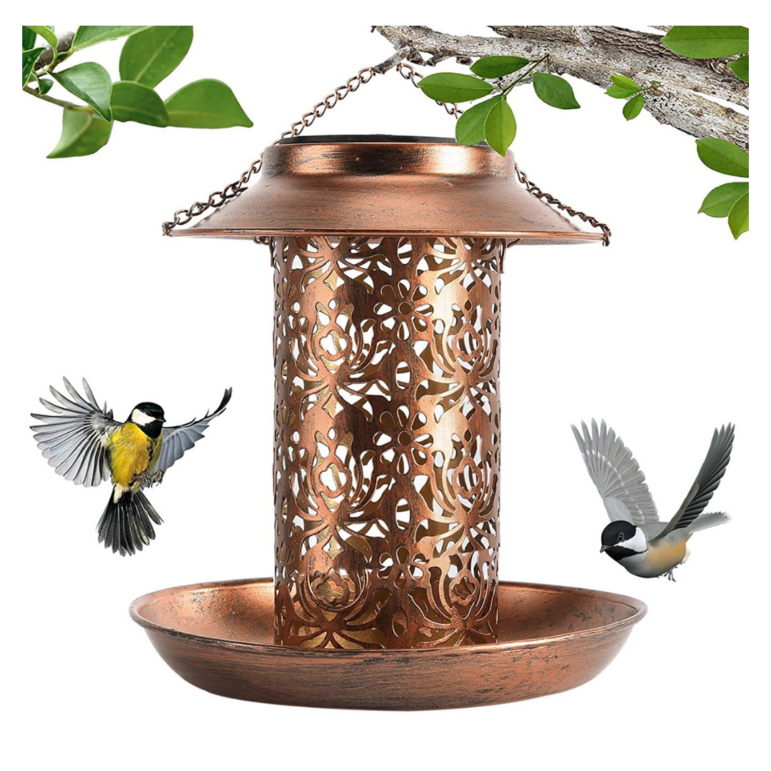 Bird Feeder with Solar Light