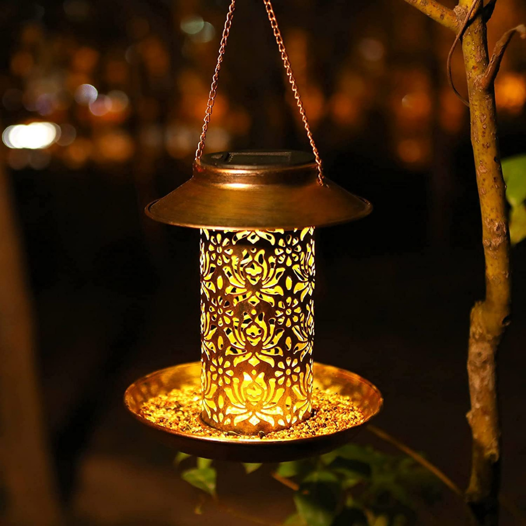 Bird Feeder with Solar Light